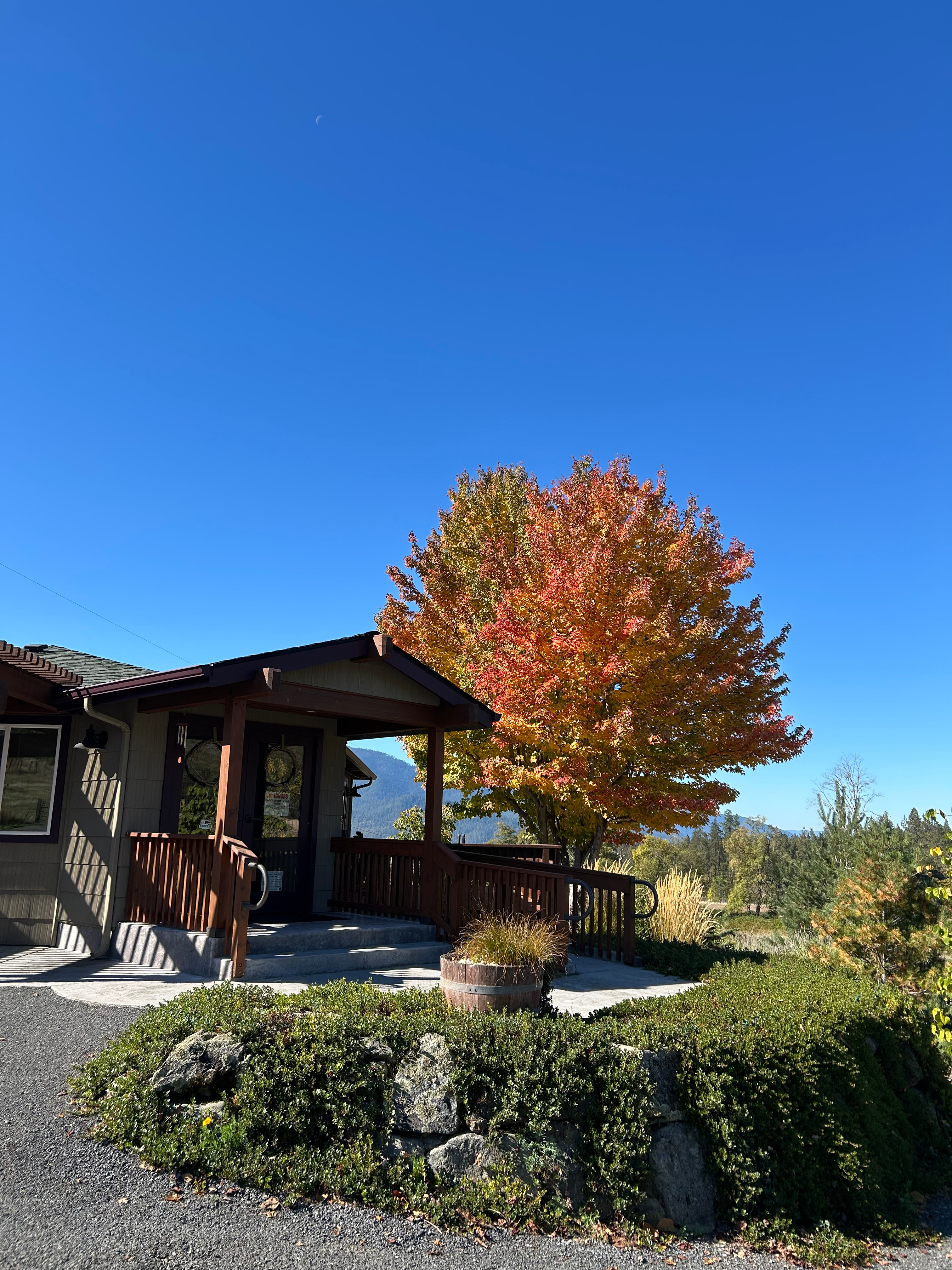 Our solar-powered tasting room is a converted 1949 farmhouse.