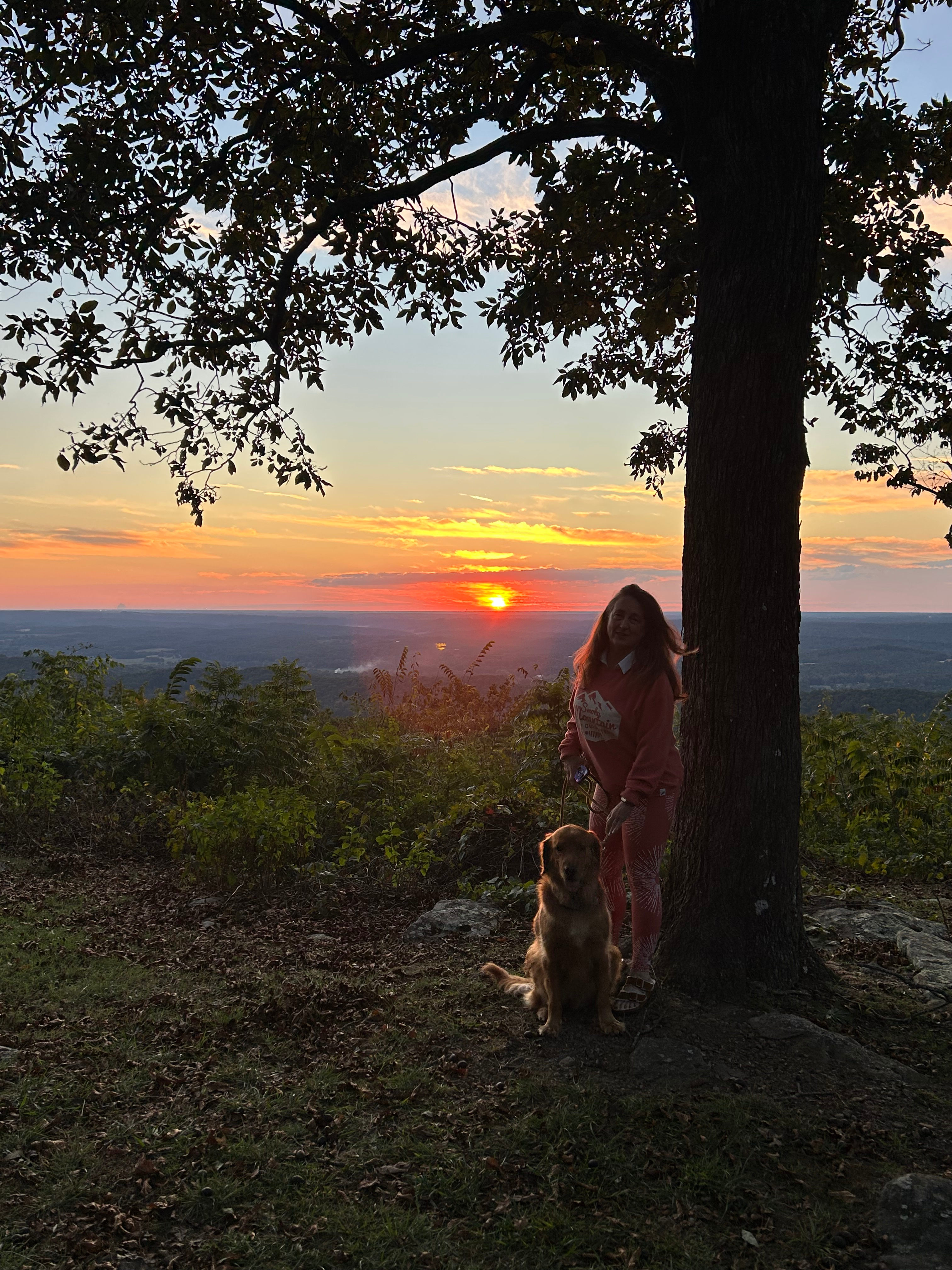 Mentone center of town