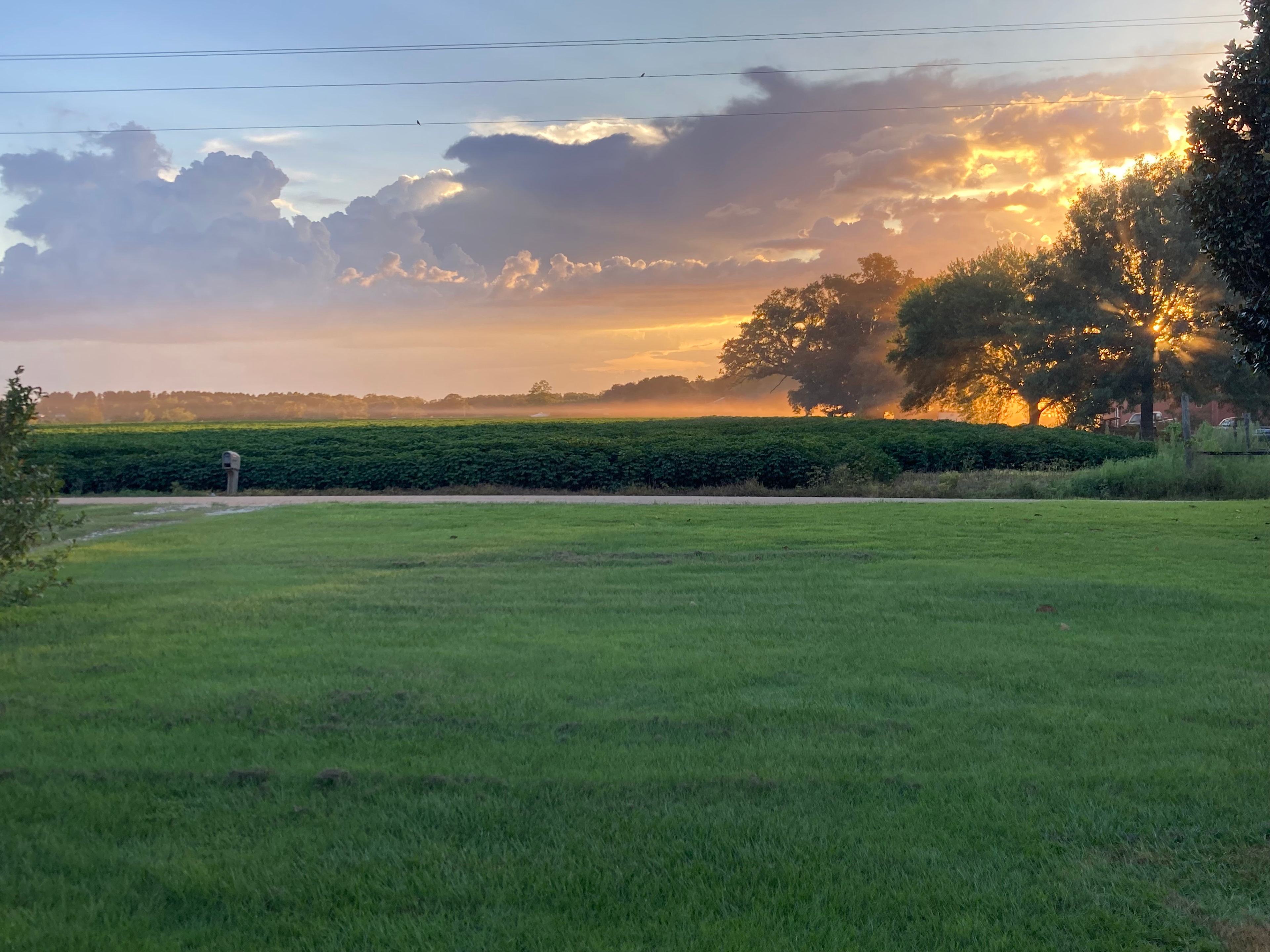 Hidden Gem RV Hookup