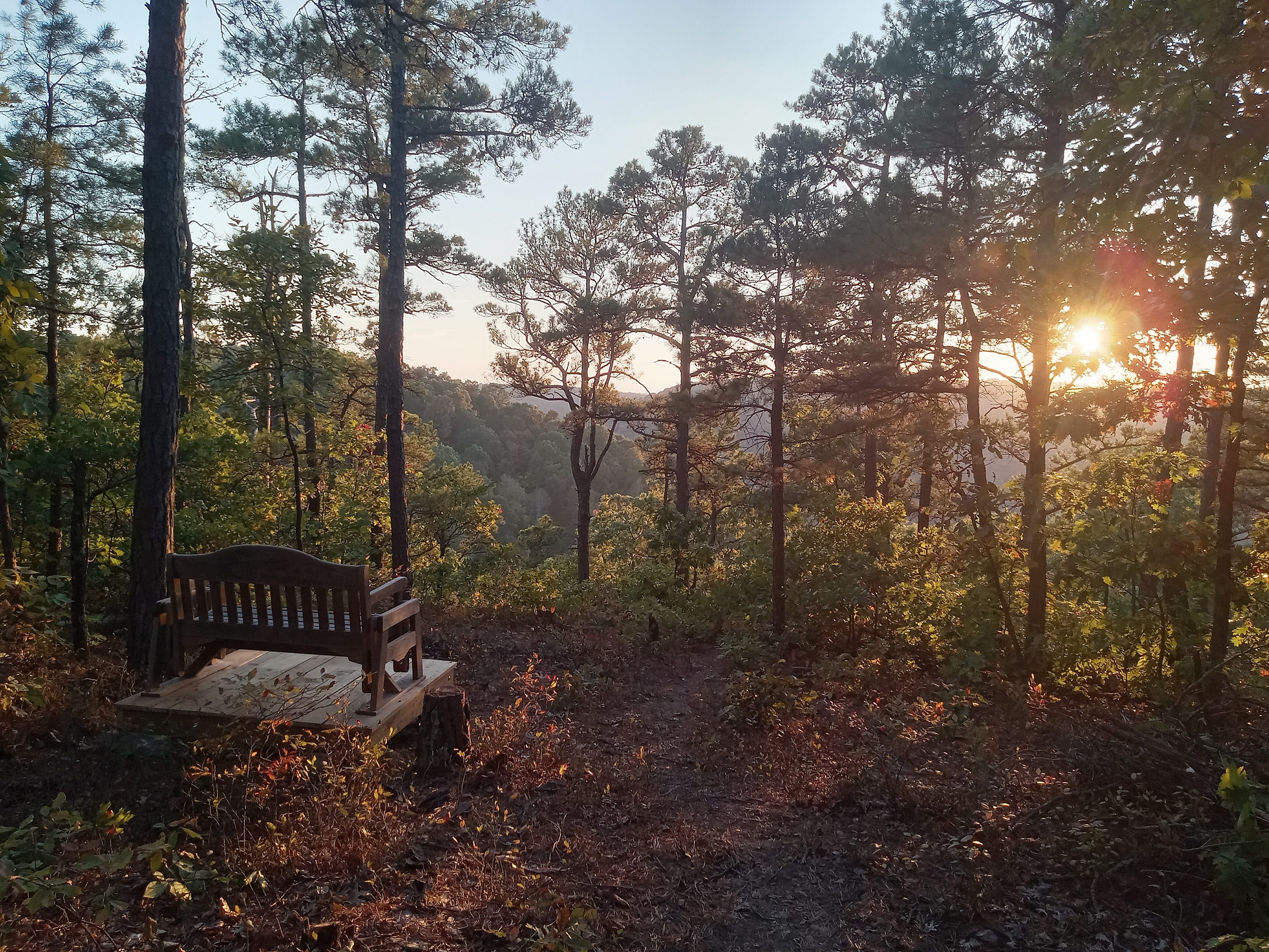 Private Pines By The Hollar