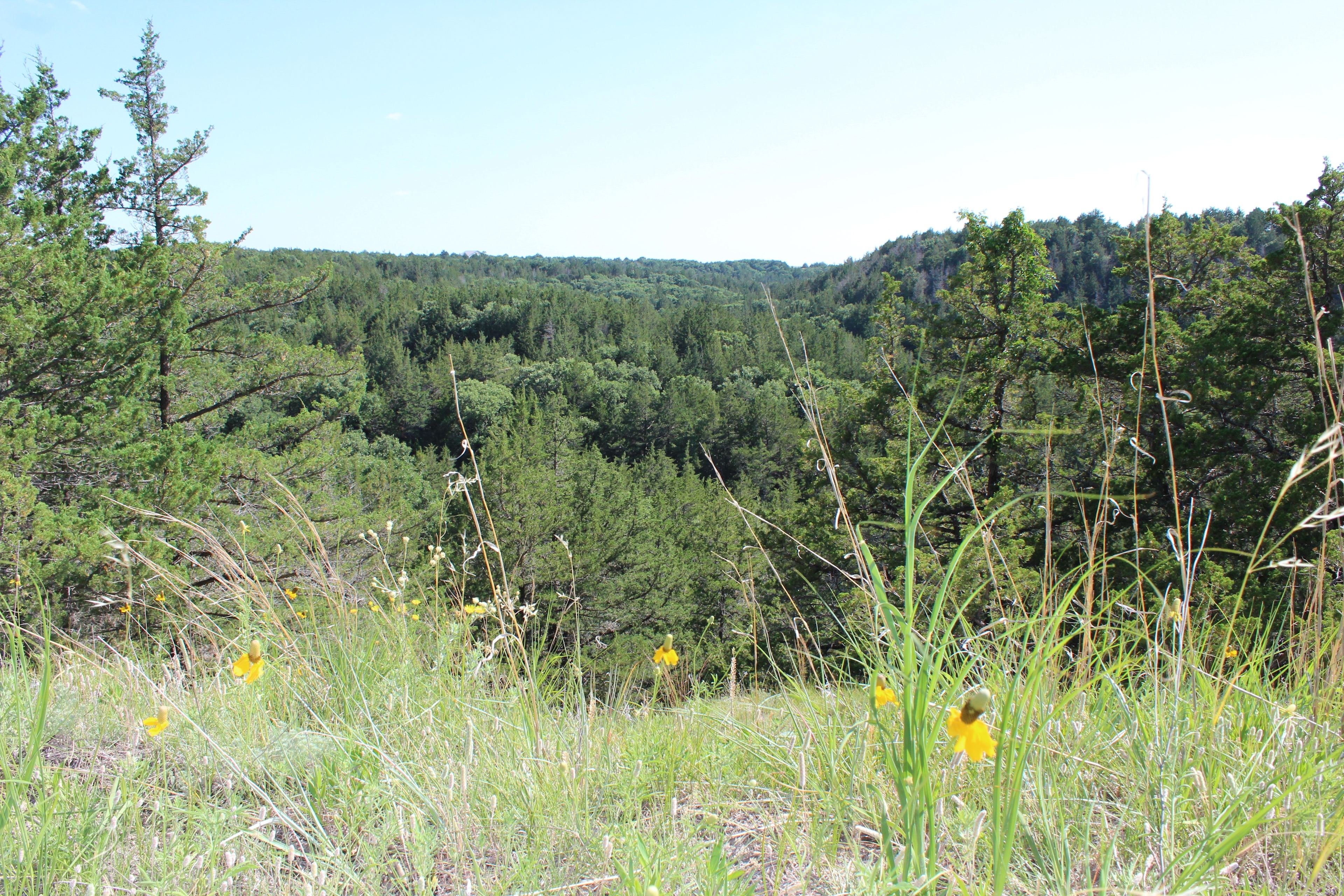 Plum Creek Canyon Ranch