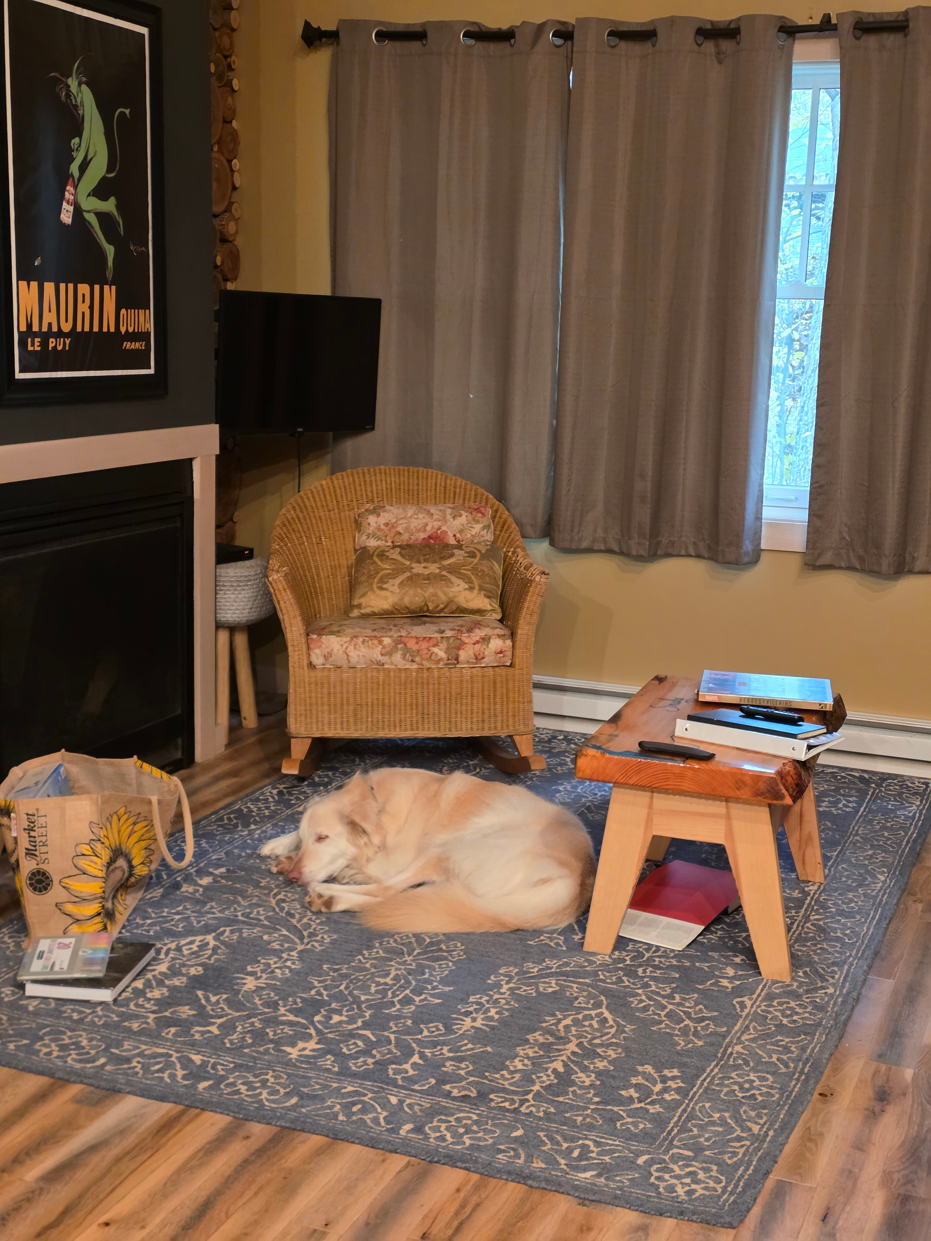 Naps in front of the fireplace!