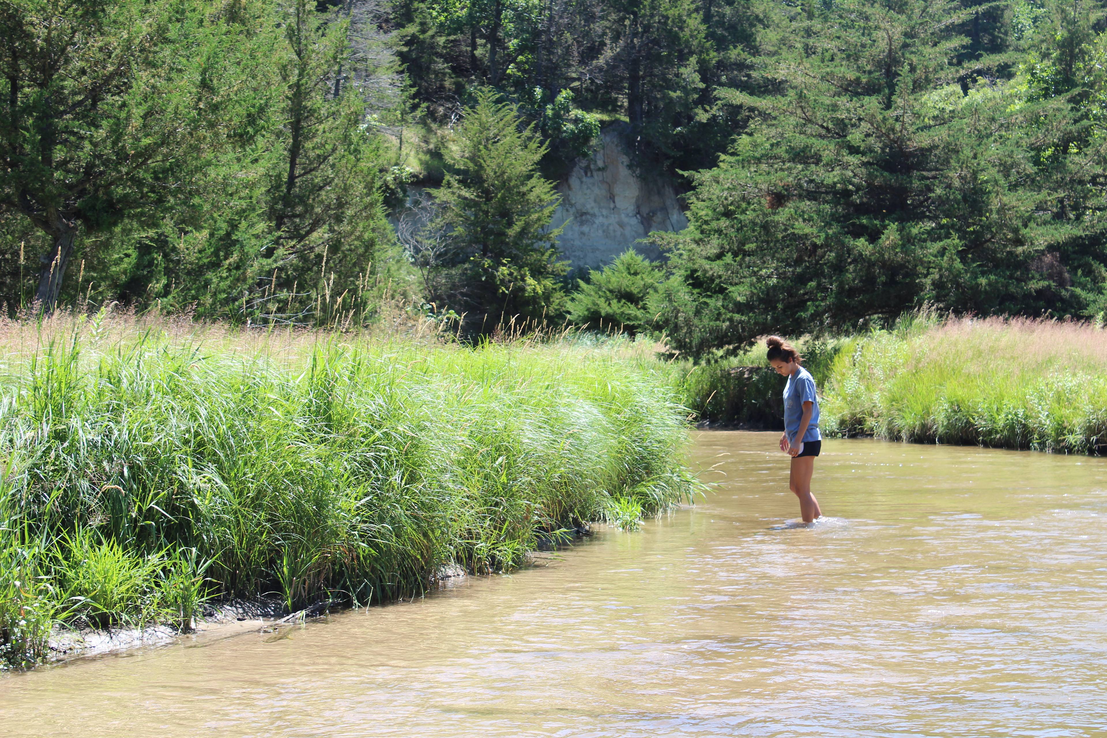 Plum Creek Canyon Ranch