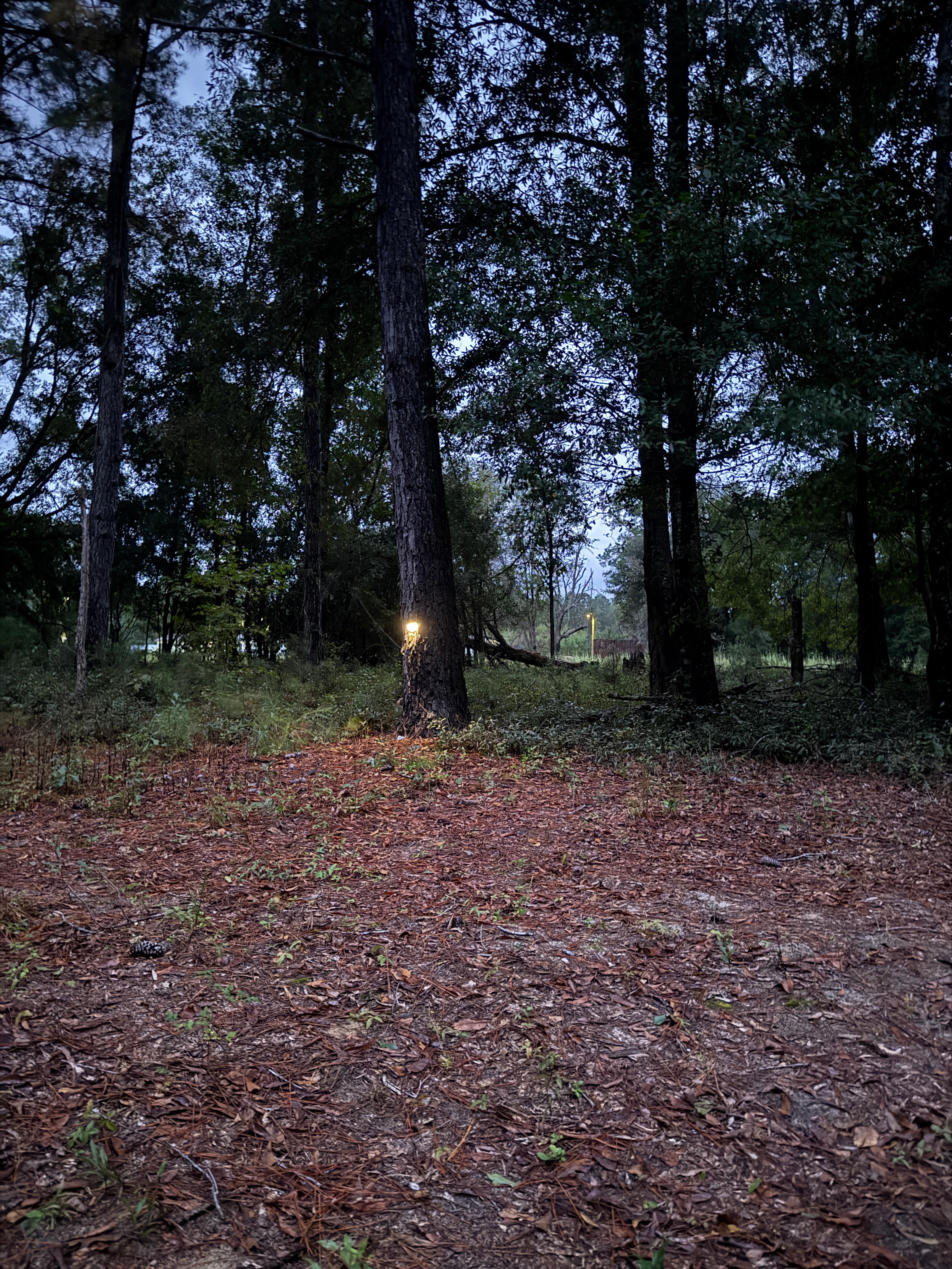 Moody Hollow Camp