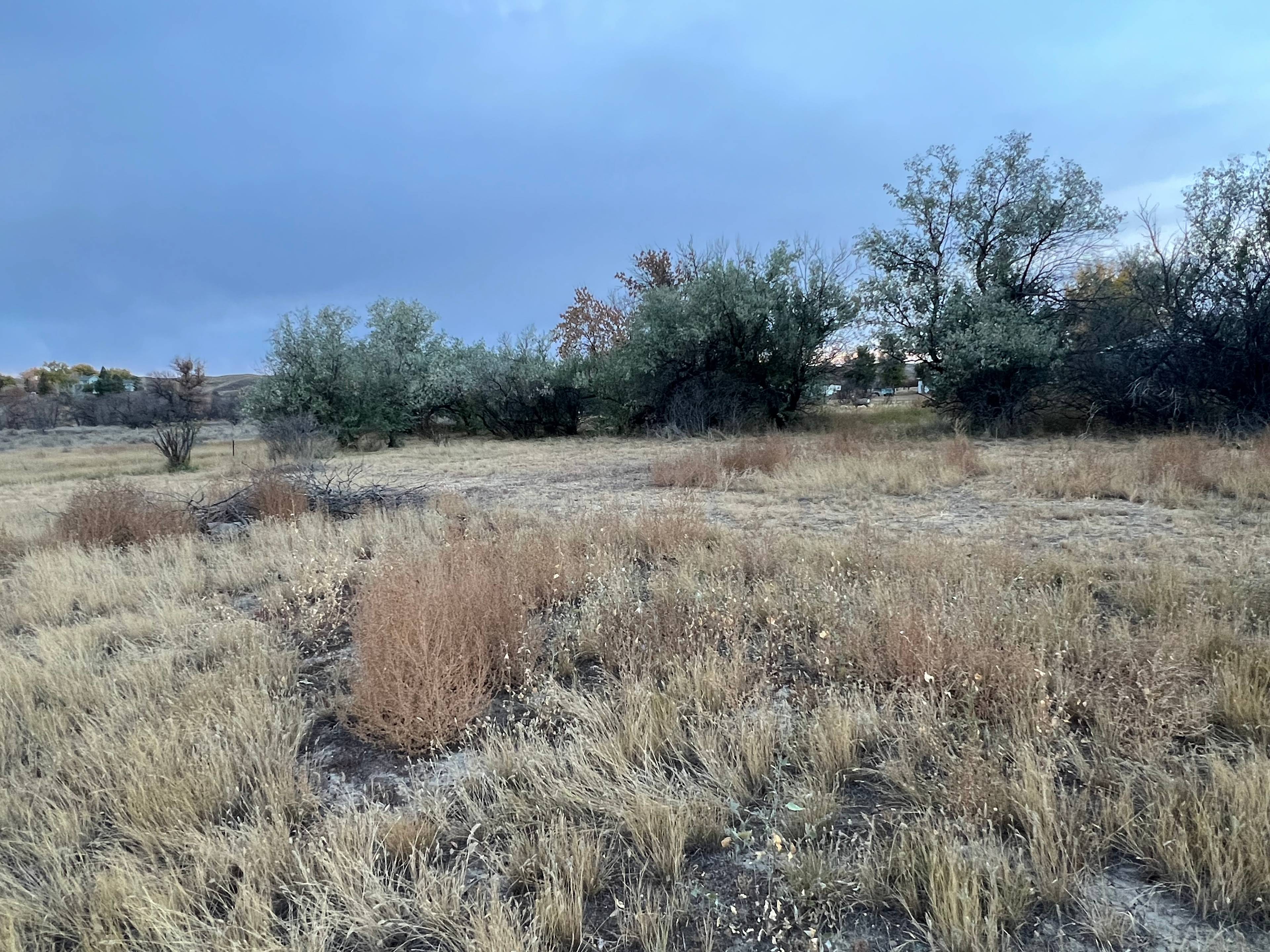 Cherry Creek Camping