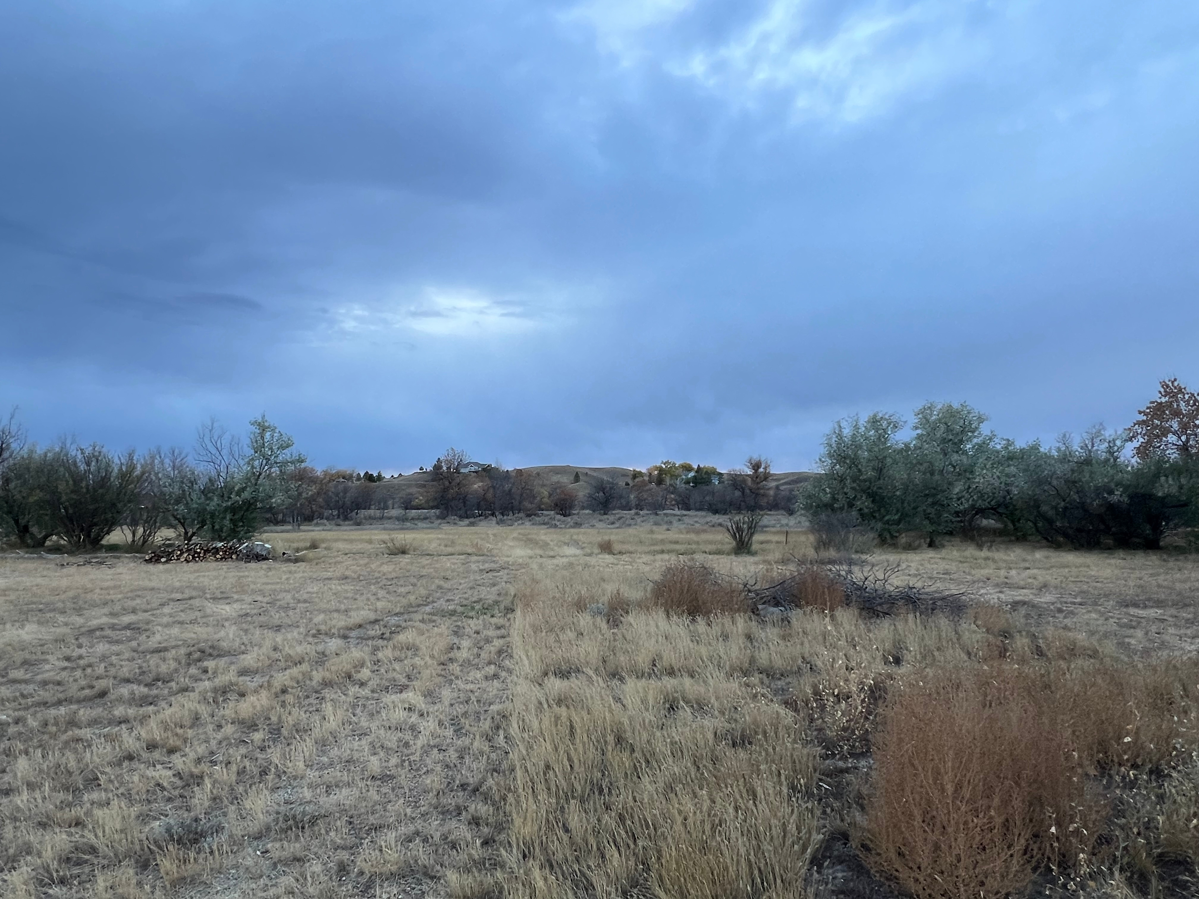 Cherry Creek Camping