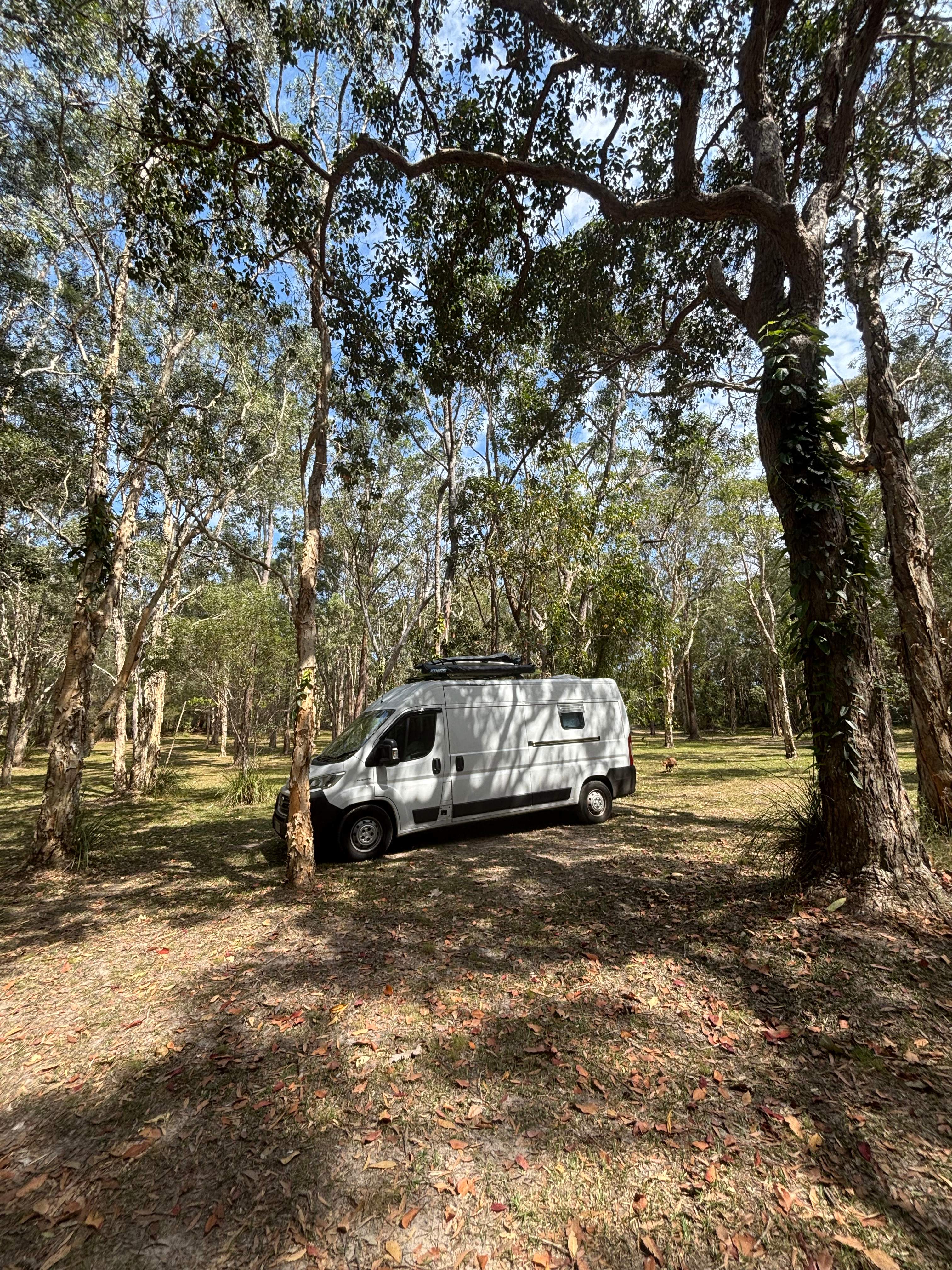 Noosa  Hinterland RV and Hip Camp