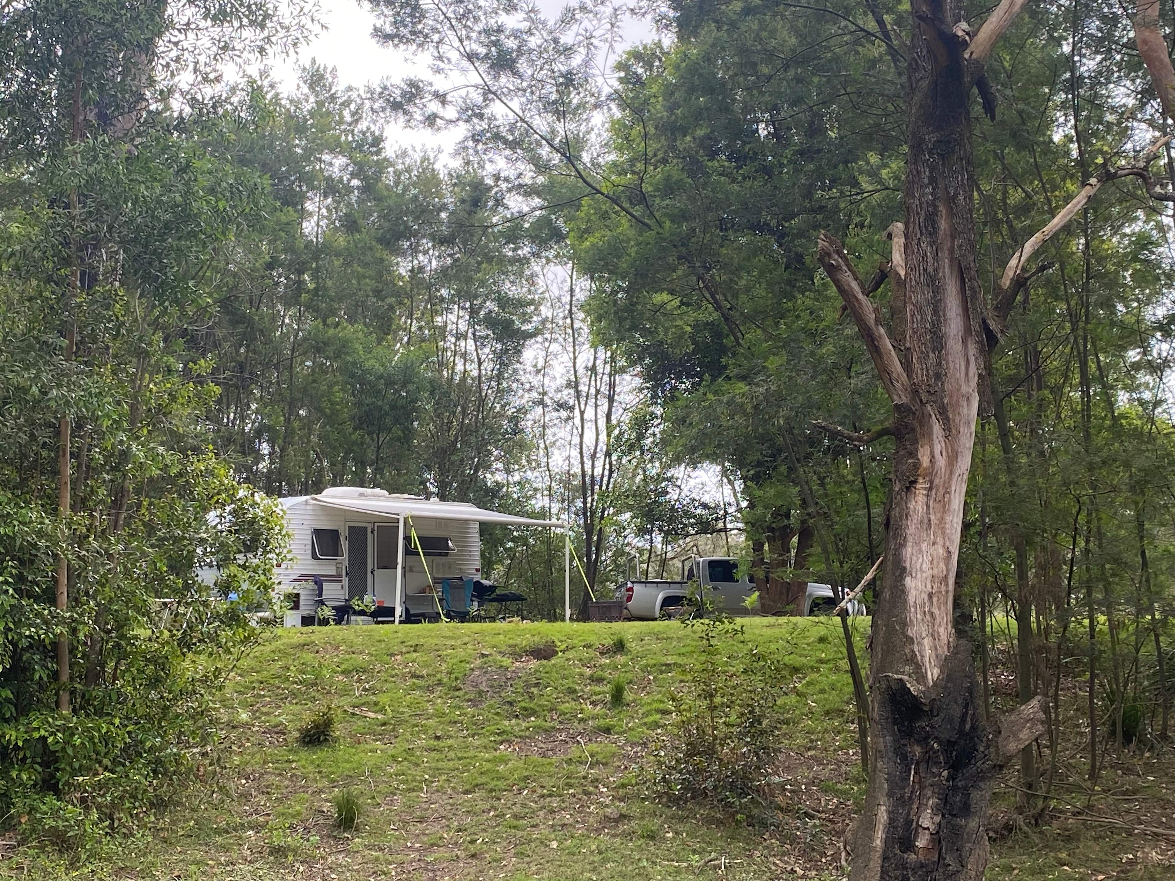 Fat Lamb Farm Camping