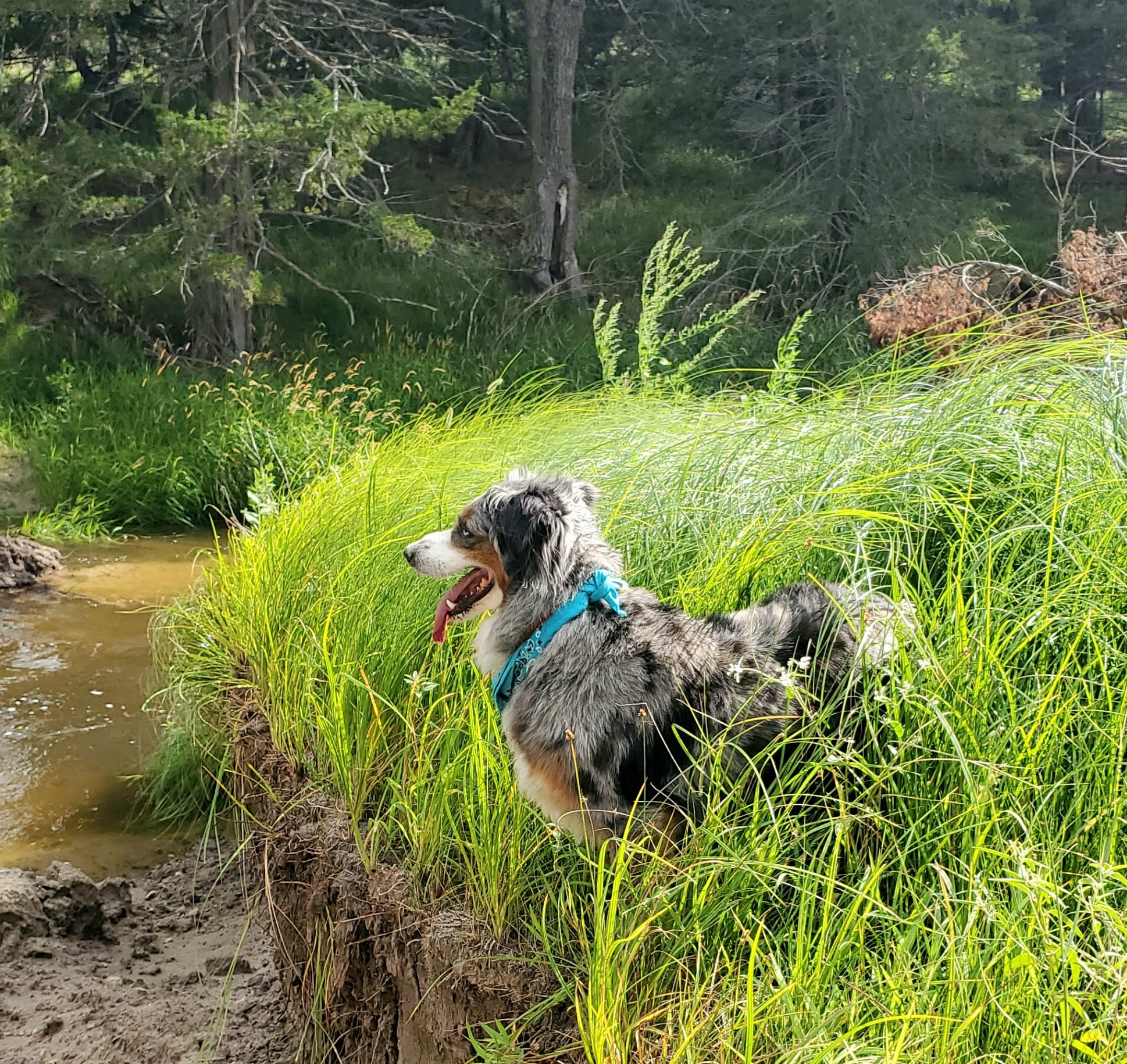 Plum Creek Canyon Ranch