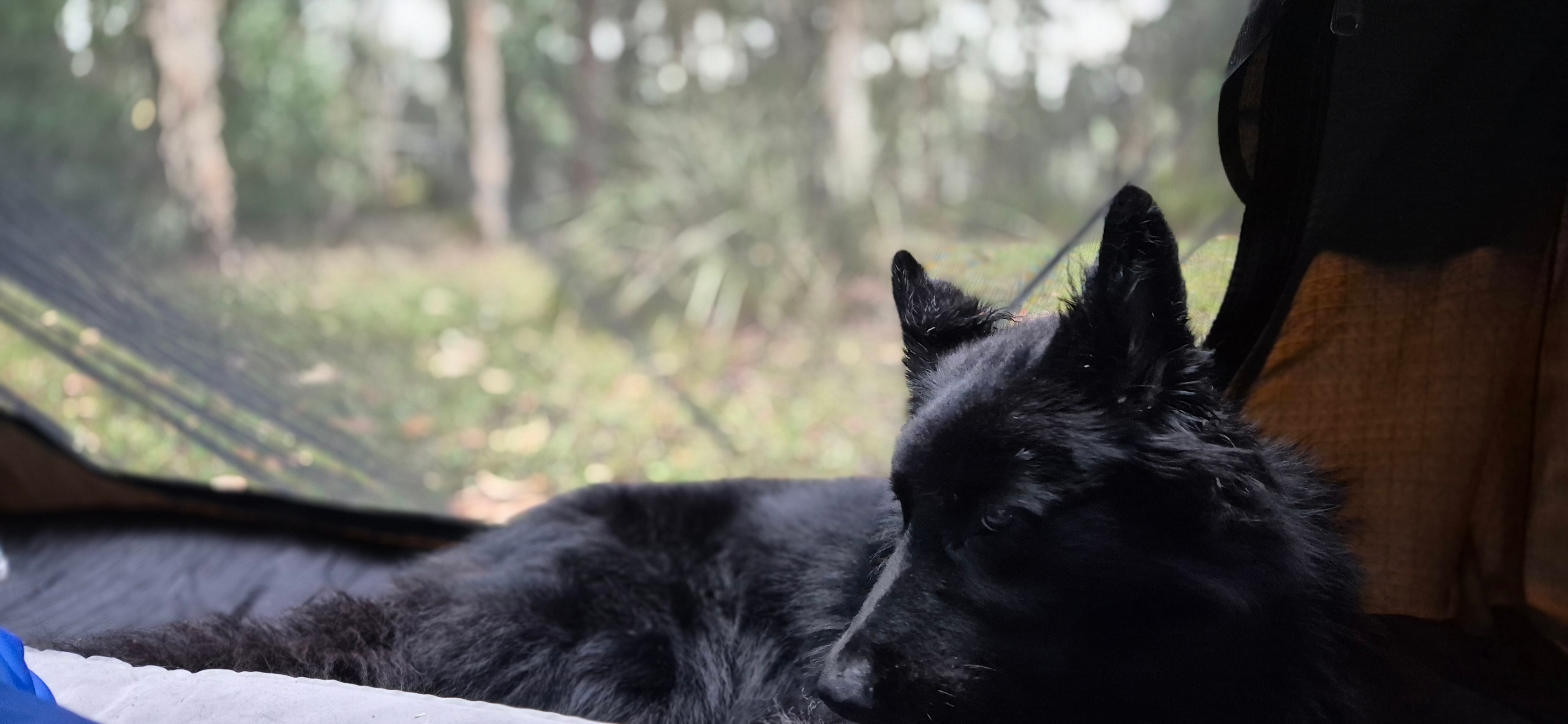 Noosa  Hinterland RV and Hip Camp