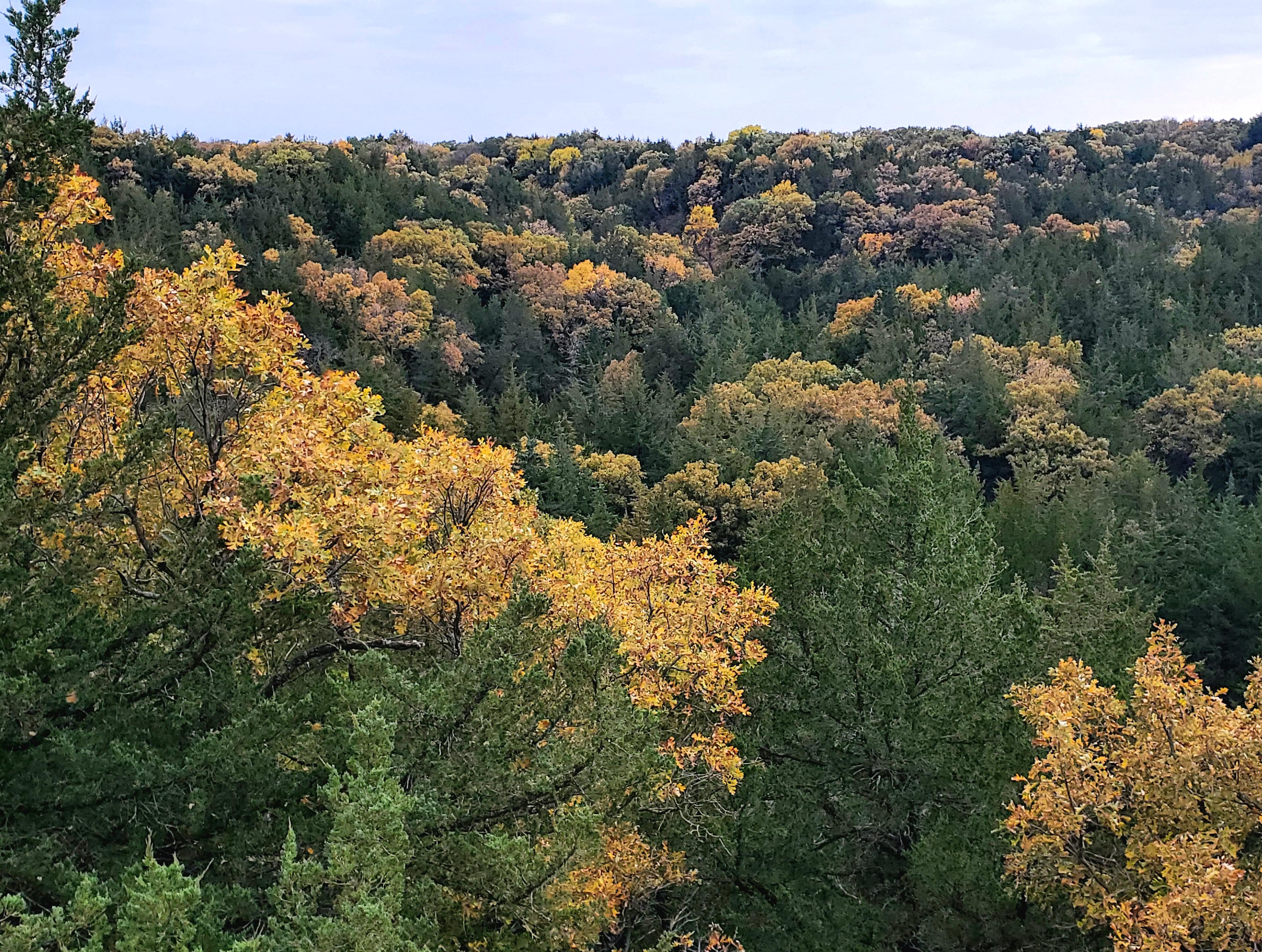 Plum Creek Canyon Ranch