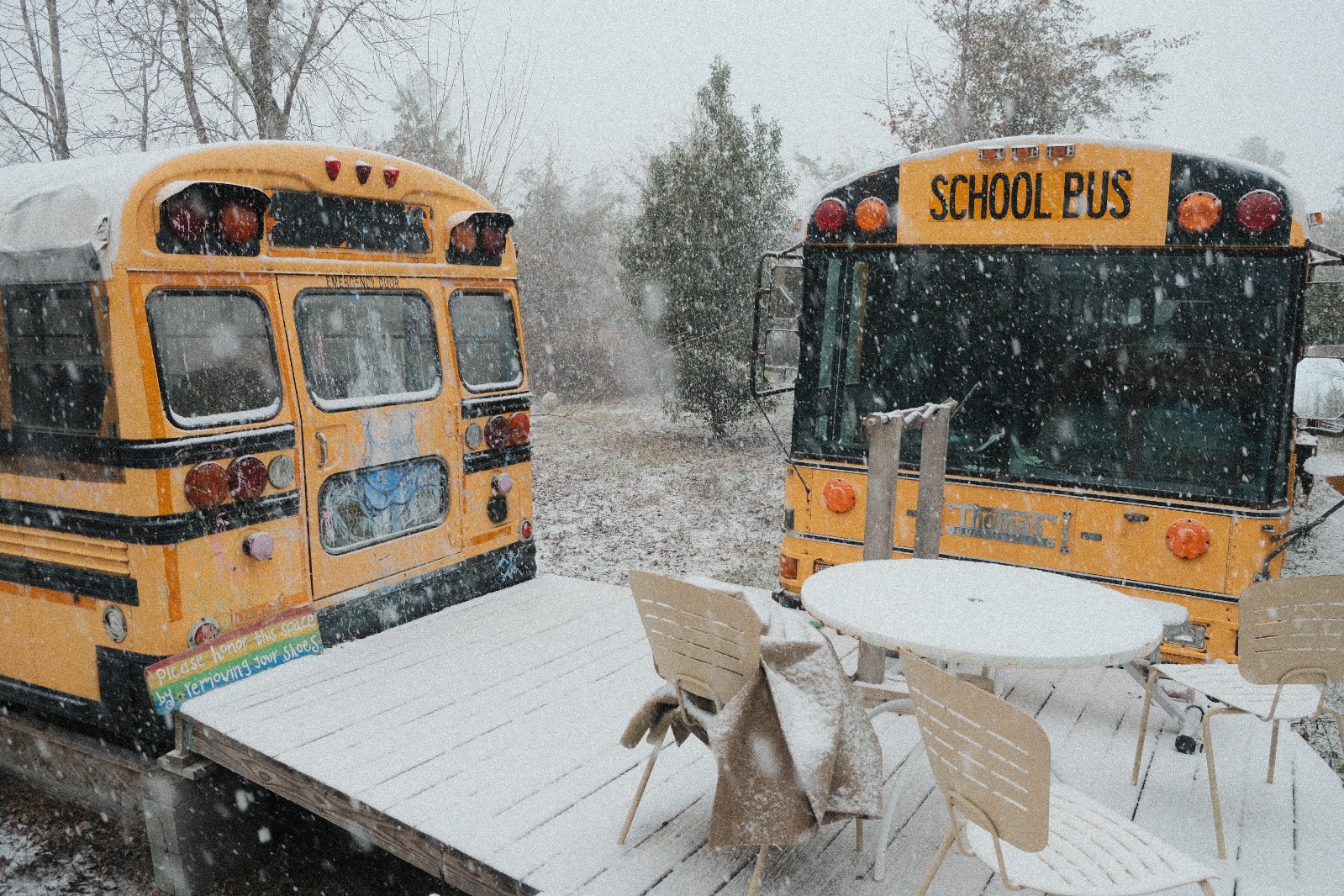The Enchanted Magic School Bus