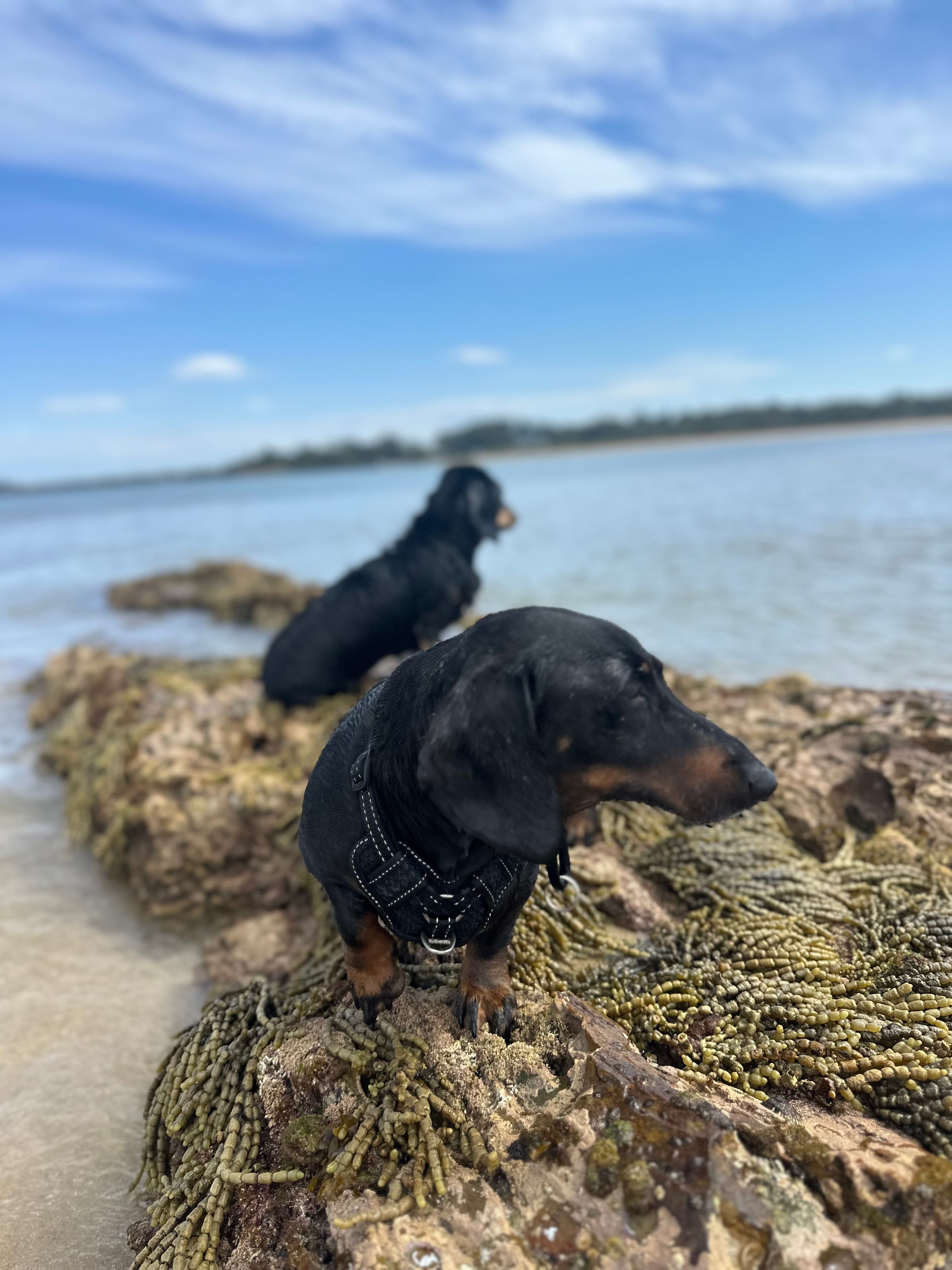 Ingenia Holidays Tomakin