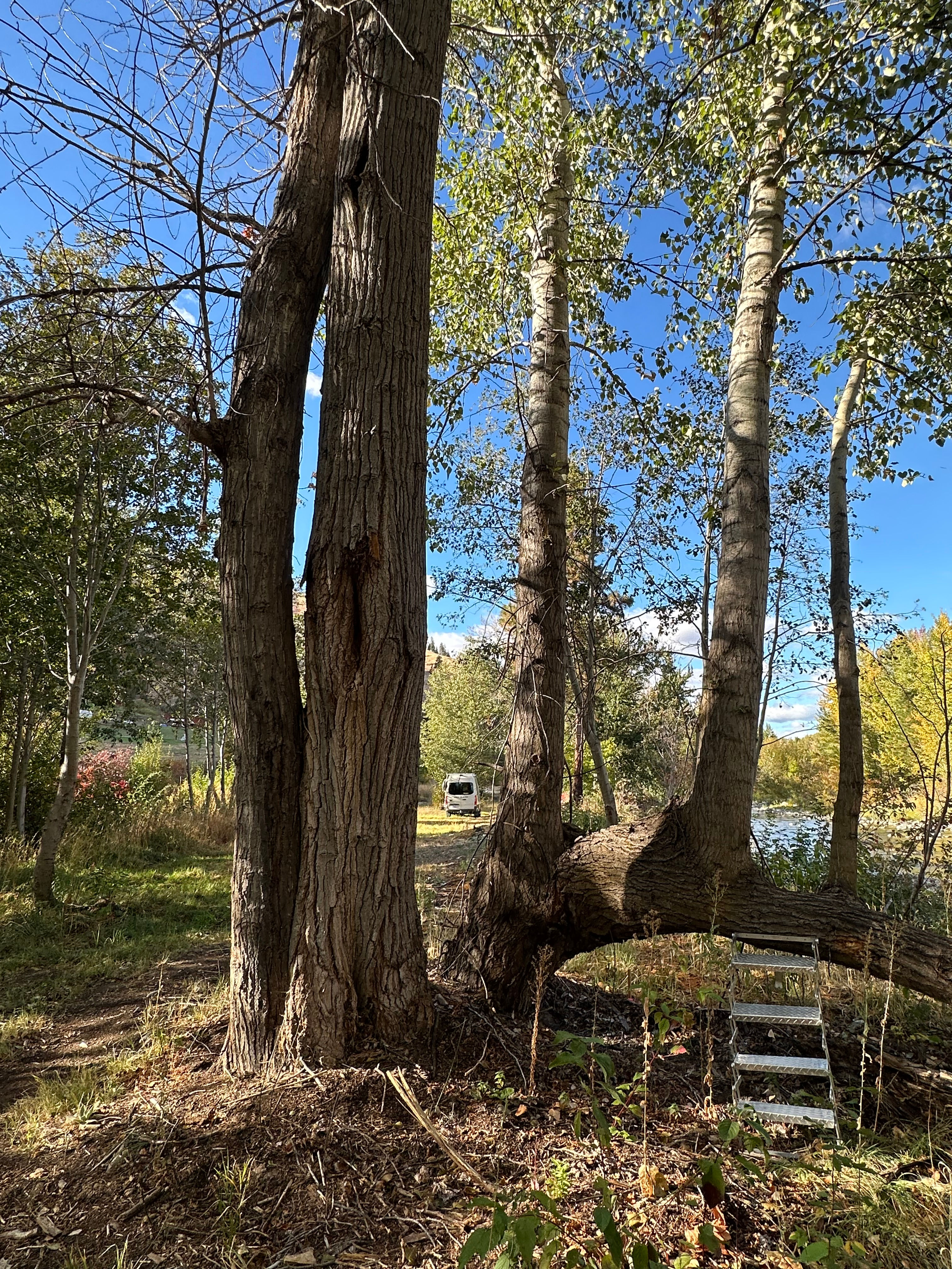 Old Car Camp -
Downriver