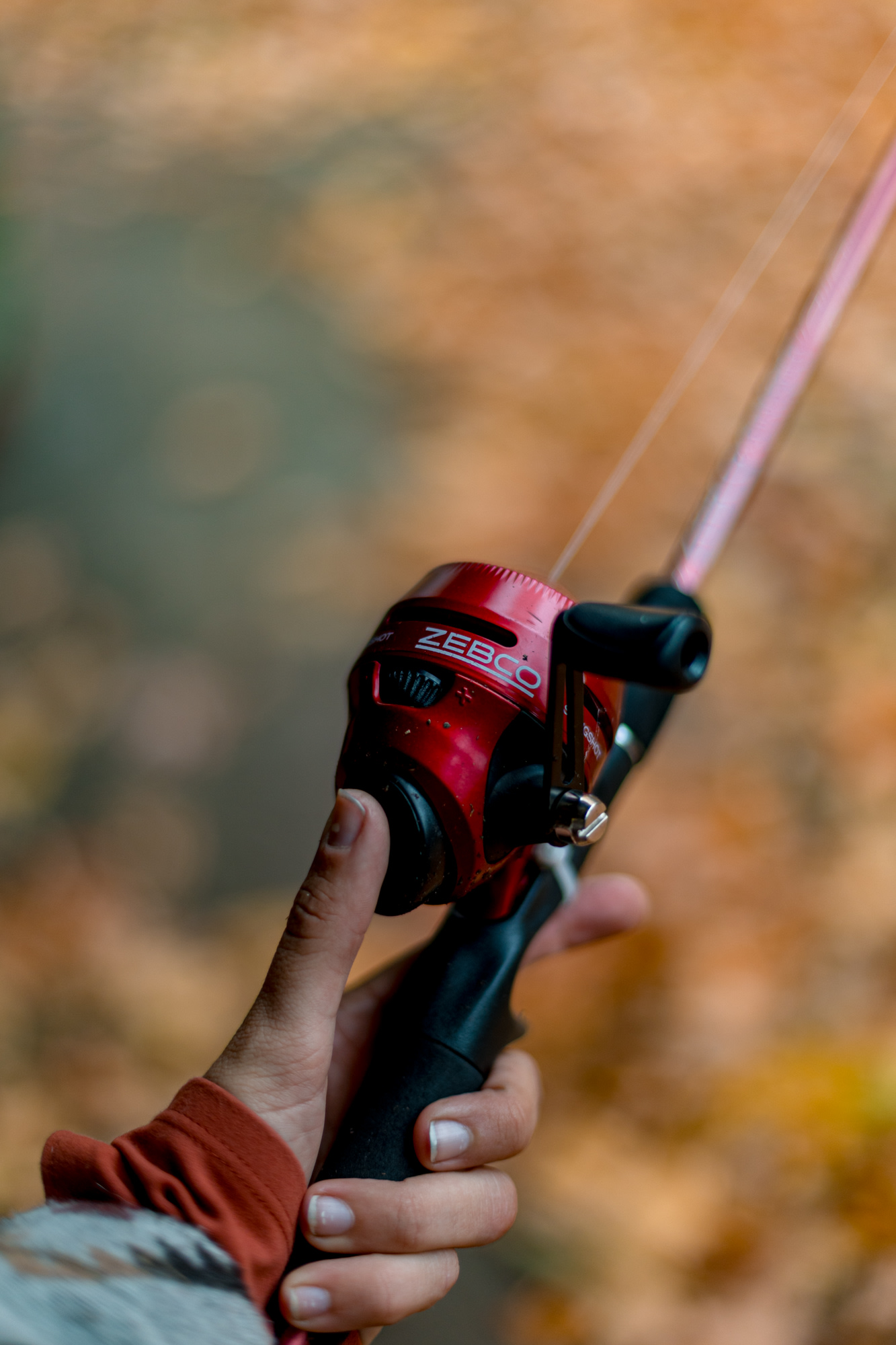 Fishing rods are available for your use