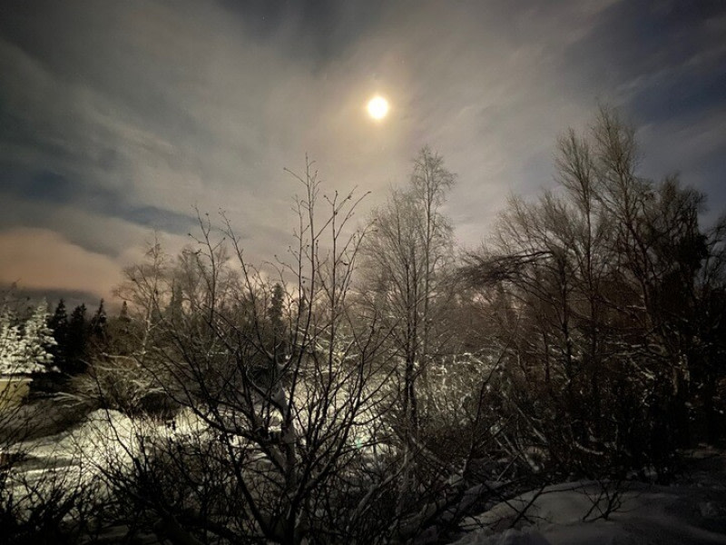Wild Mountain Acre, Anchorage