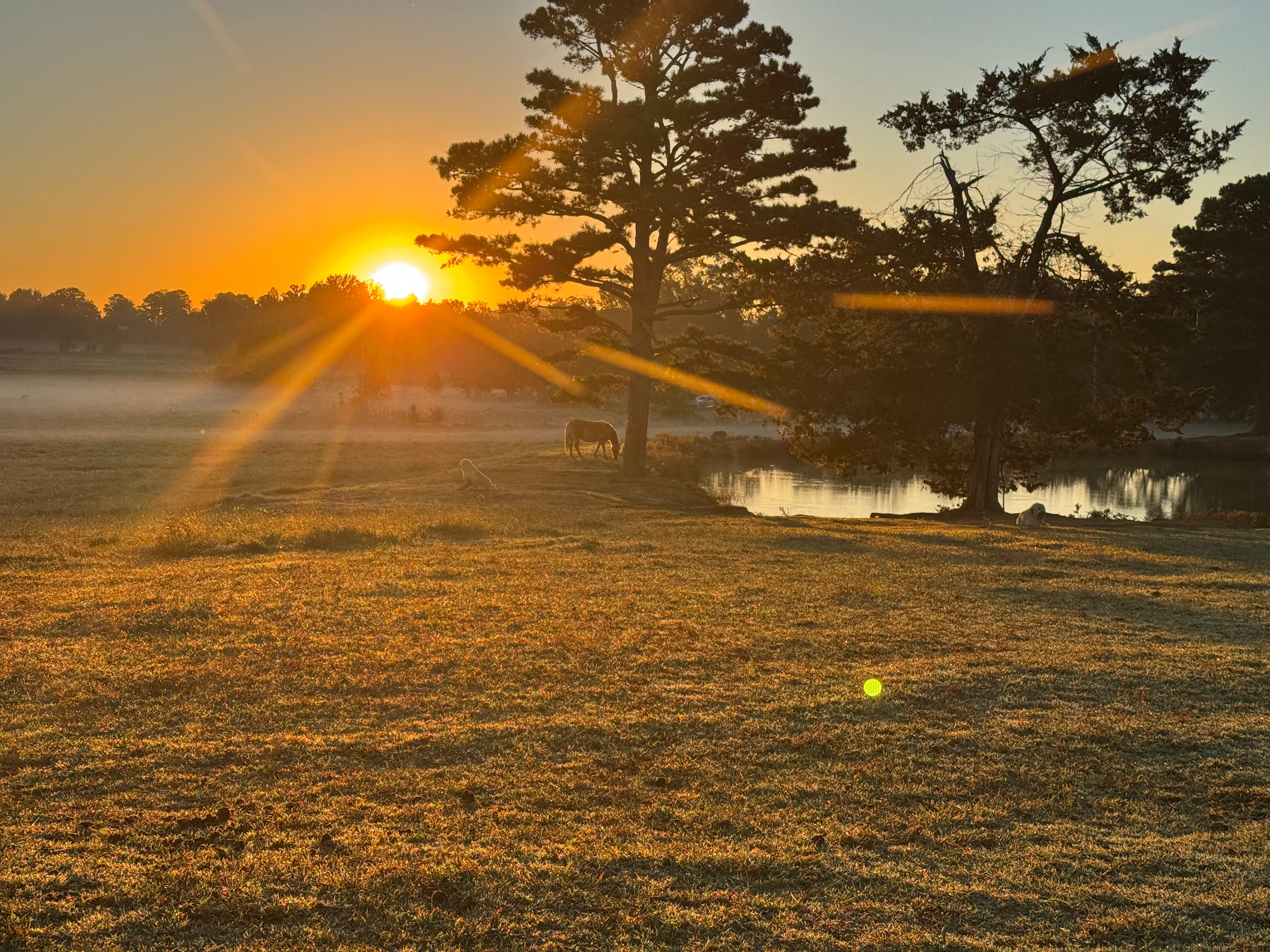 The Meadows at Cabin Creek