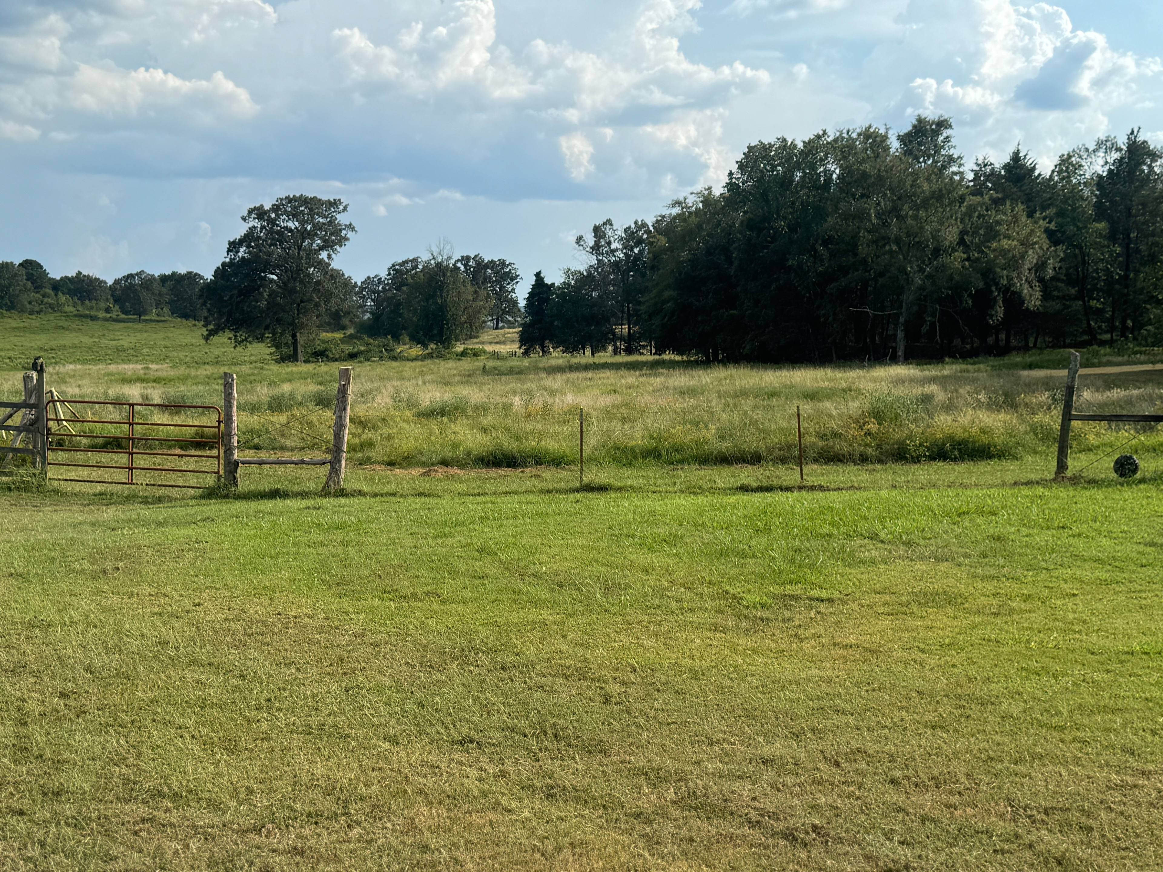 Meadows at Cabin Creek