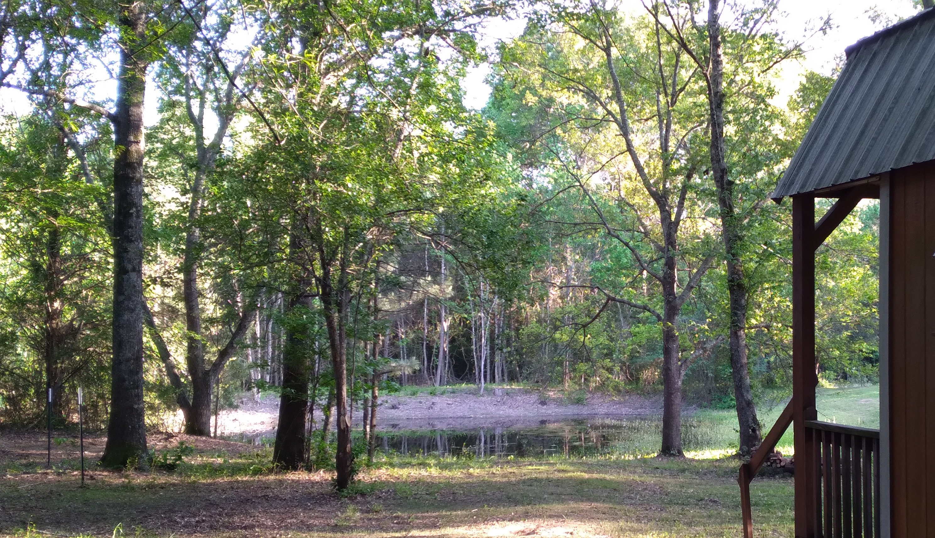 Peaceful Forrest Cabin With Pond