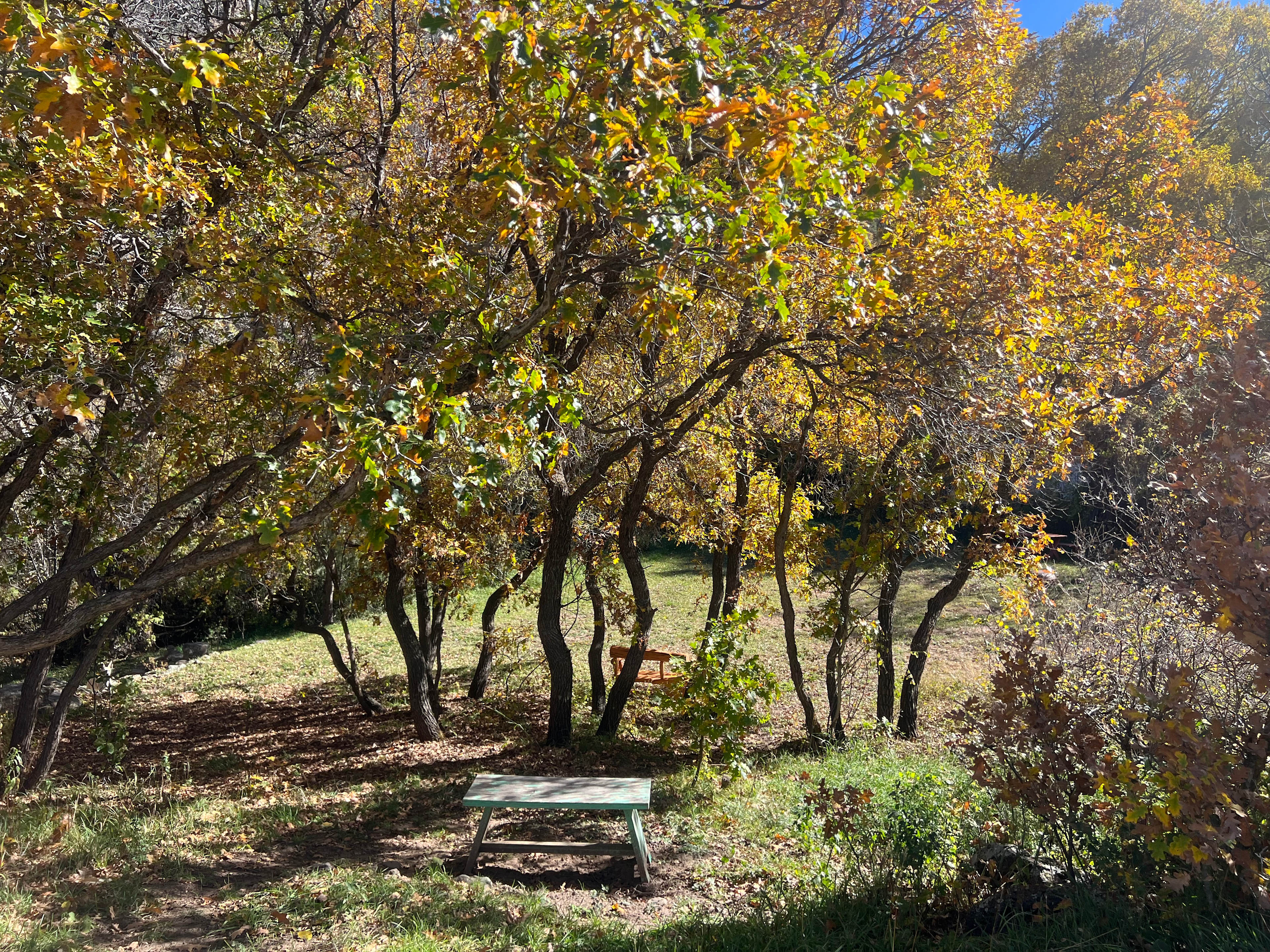 Sleeping Bear Canyon