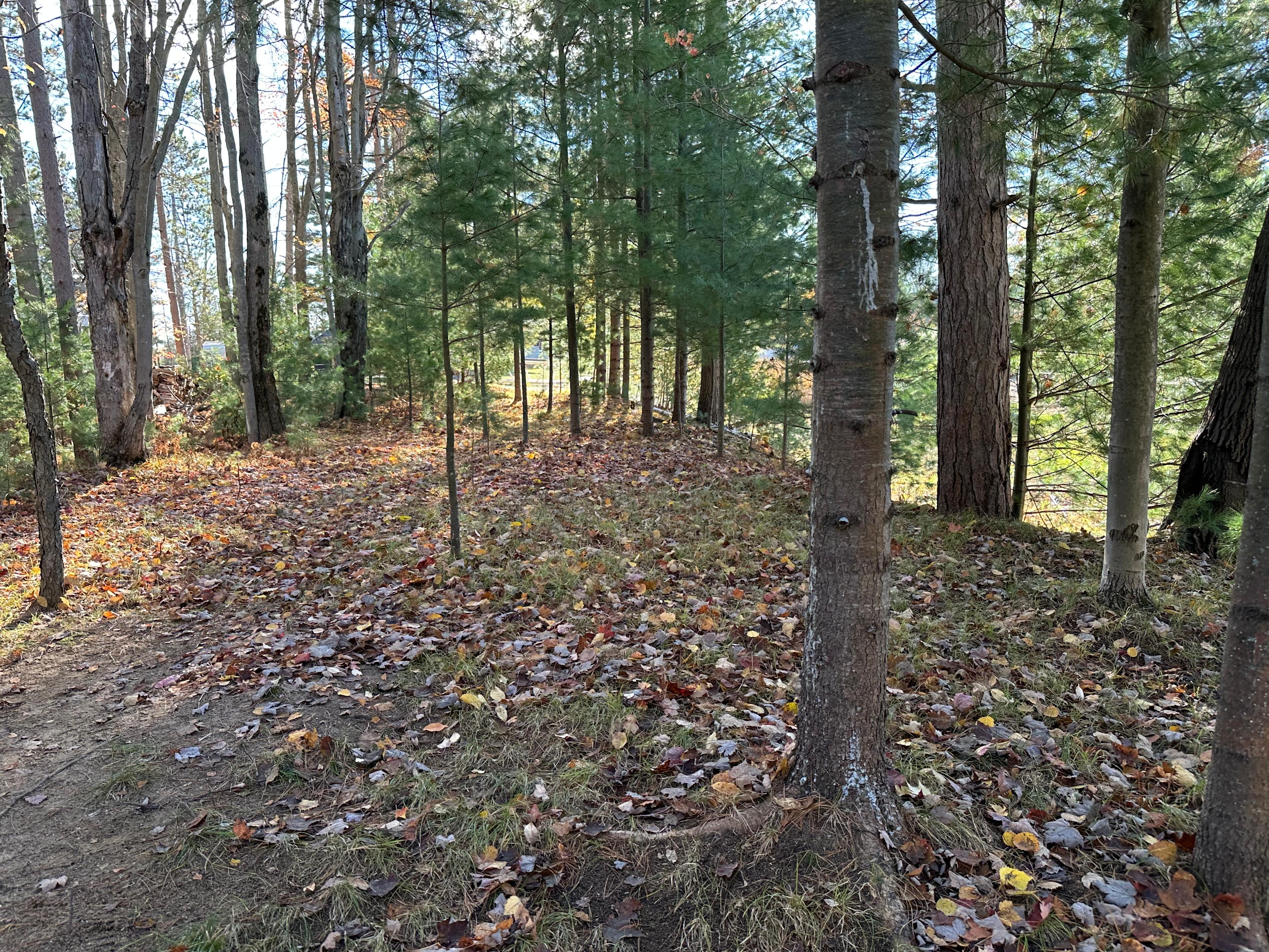 Heron Cove Camp