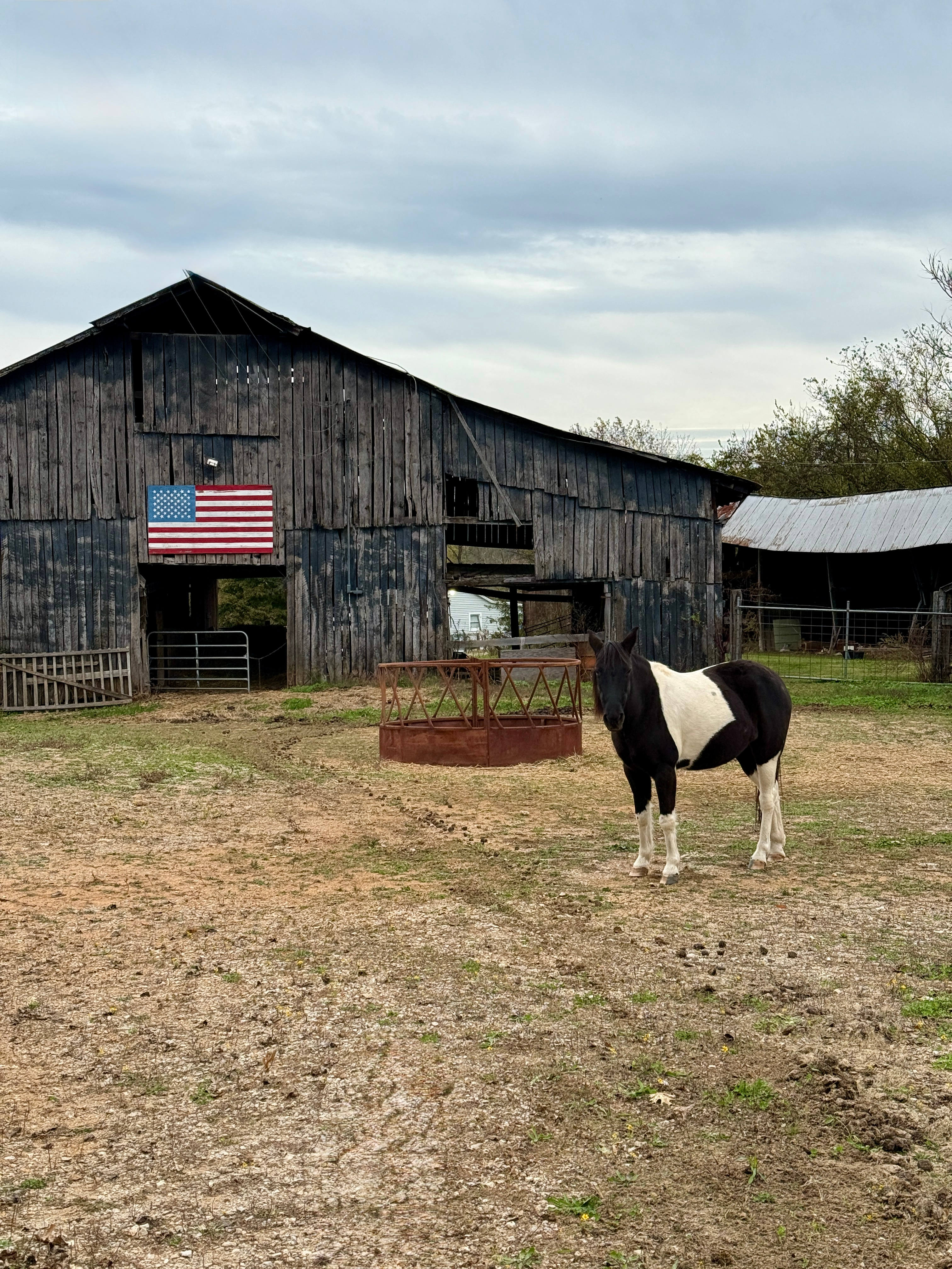 Muletown Farm | Pond | Sunset Views