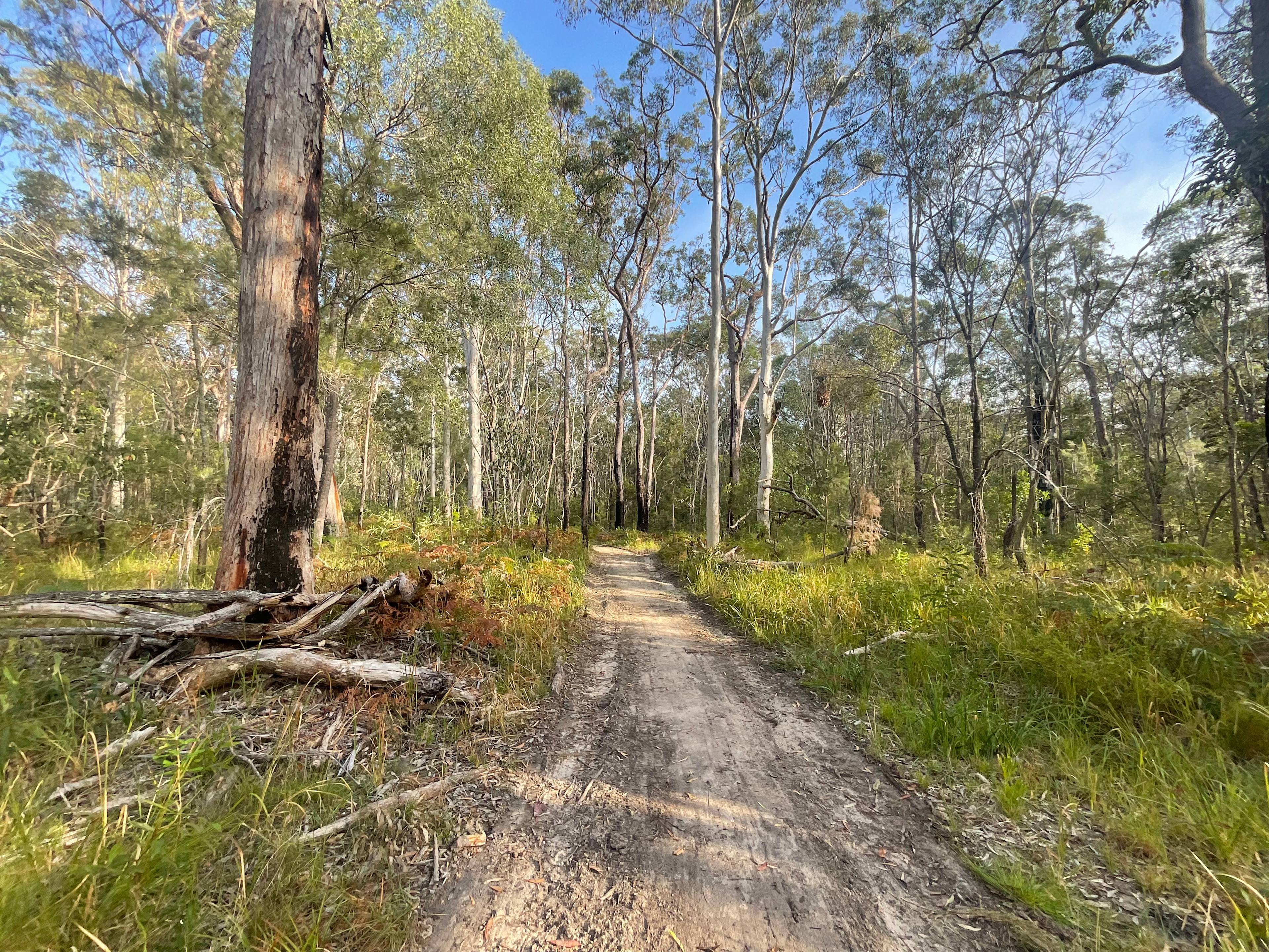 Shark Creek  Bush Camp