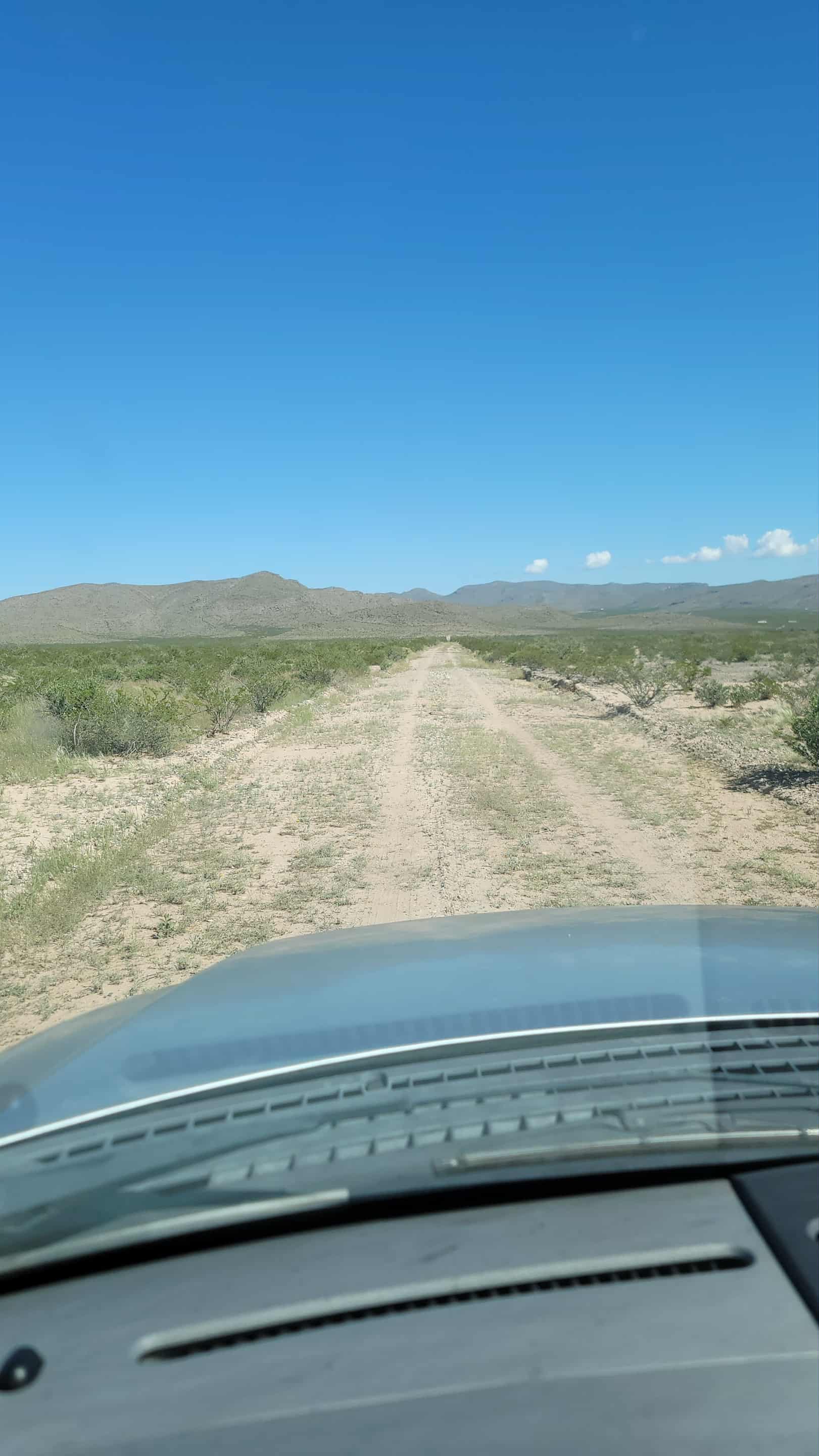 Dessert Under The Stars