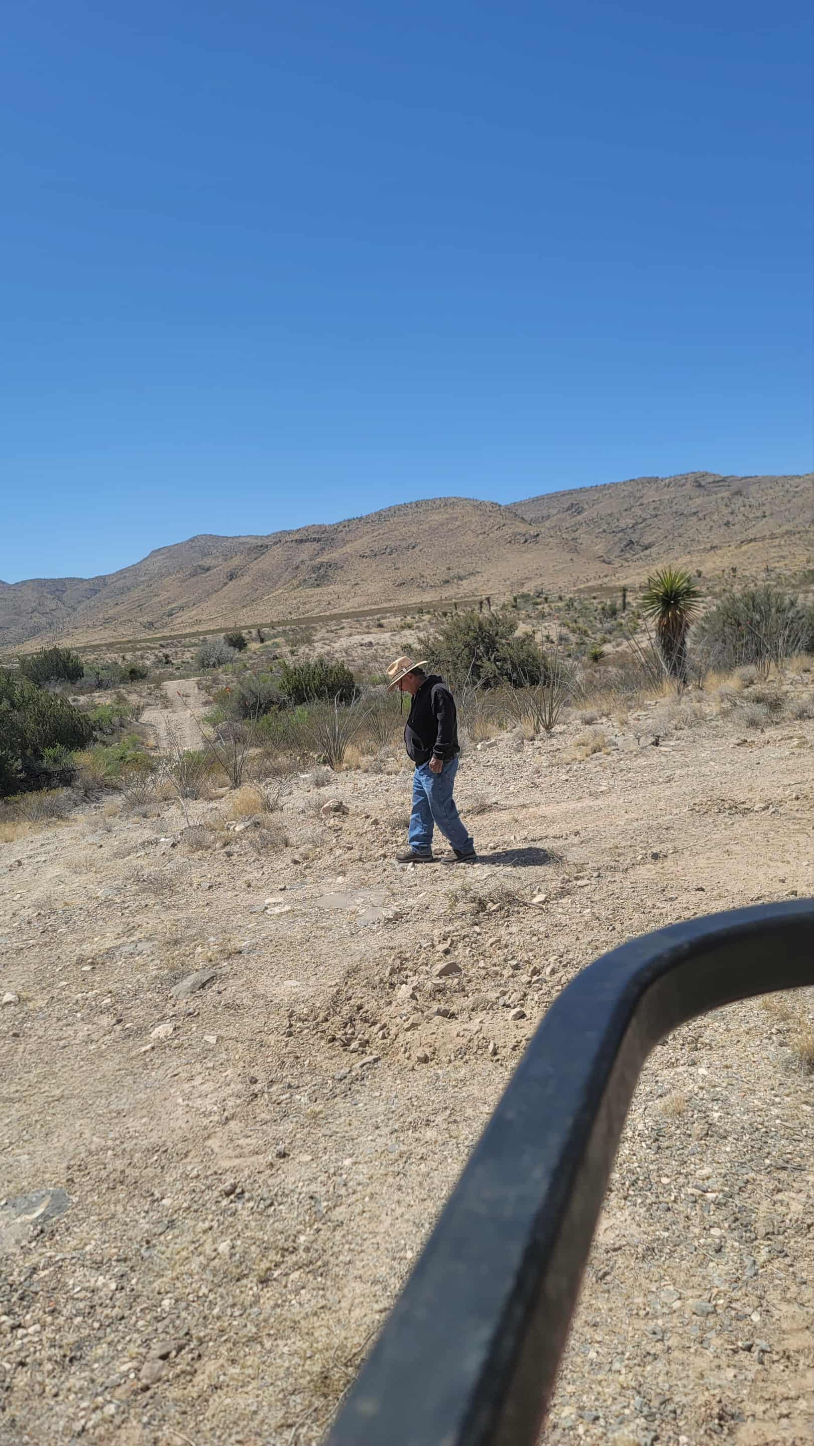 Peaceful Desert Under the Stars