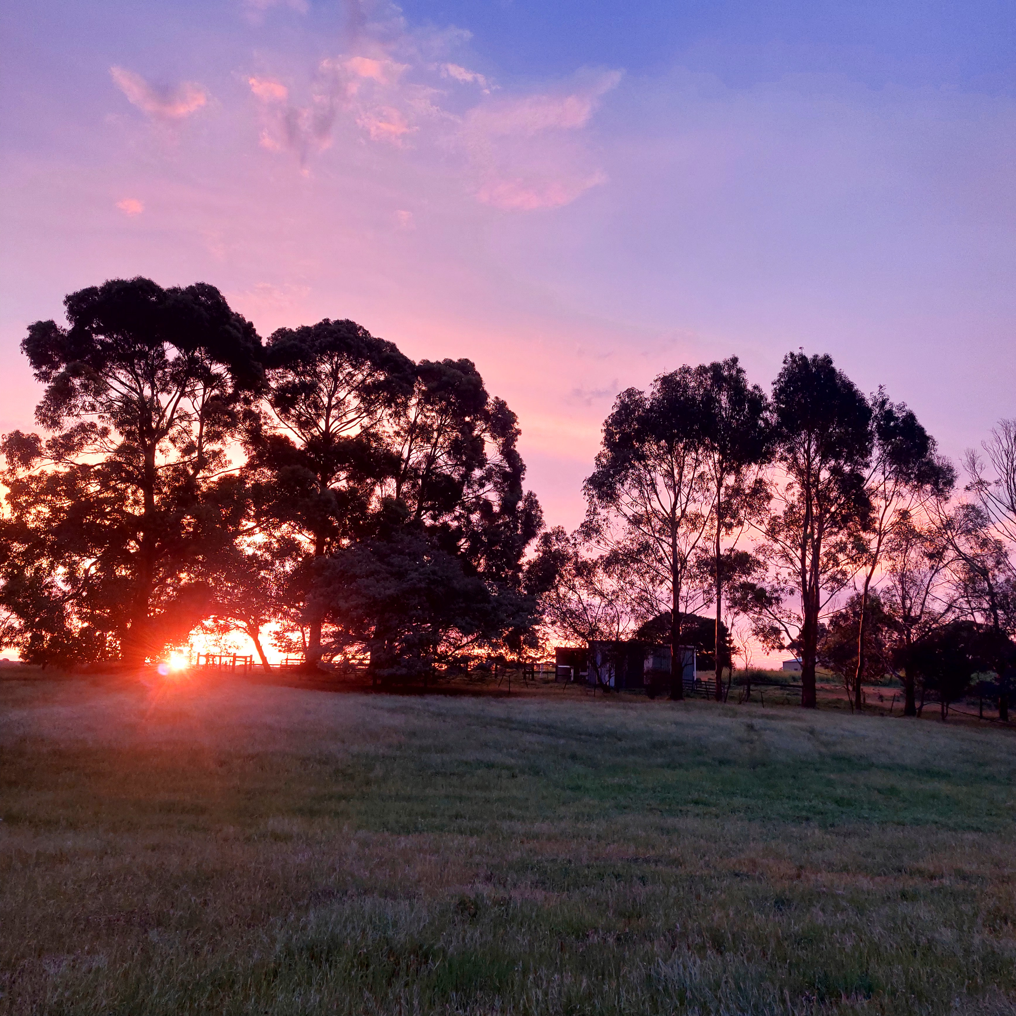 Edge Of The Pines Rocky Camp
