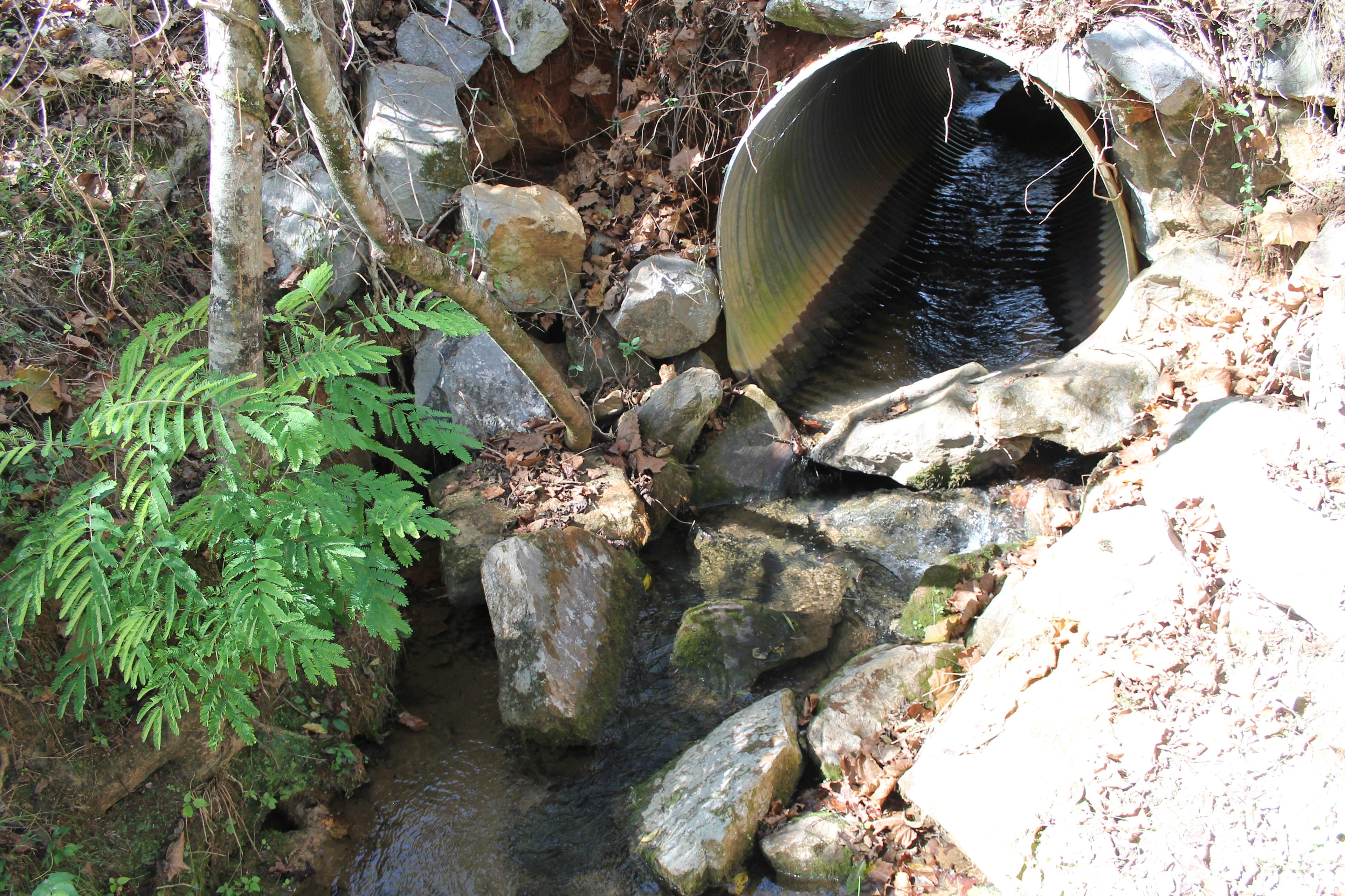 Creekside Fishing Escape