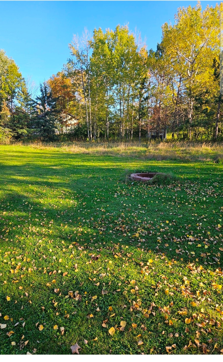 Duluth Woodland Getaway