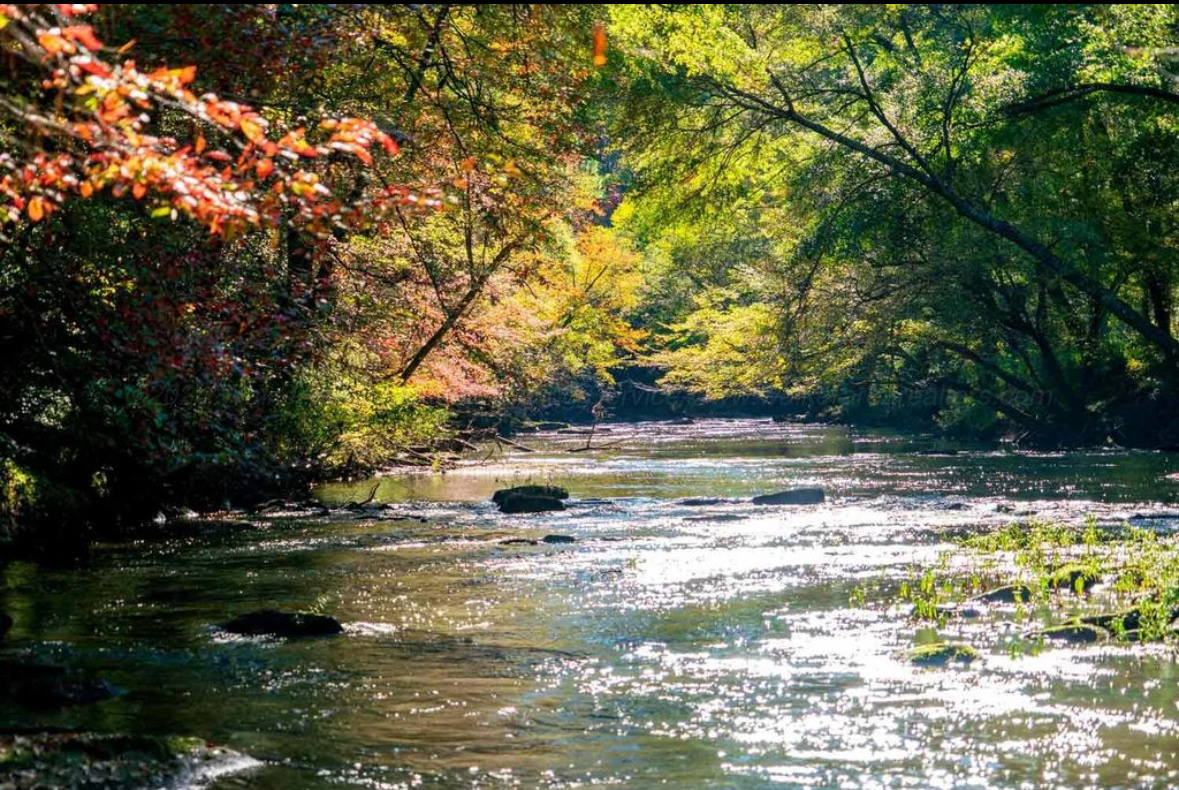 Bluewater Bend Jasper sites 17/55