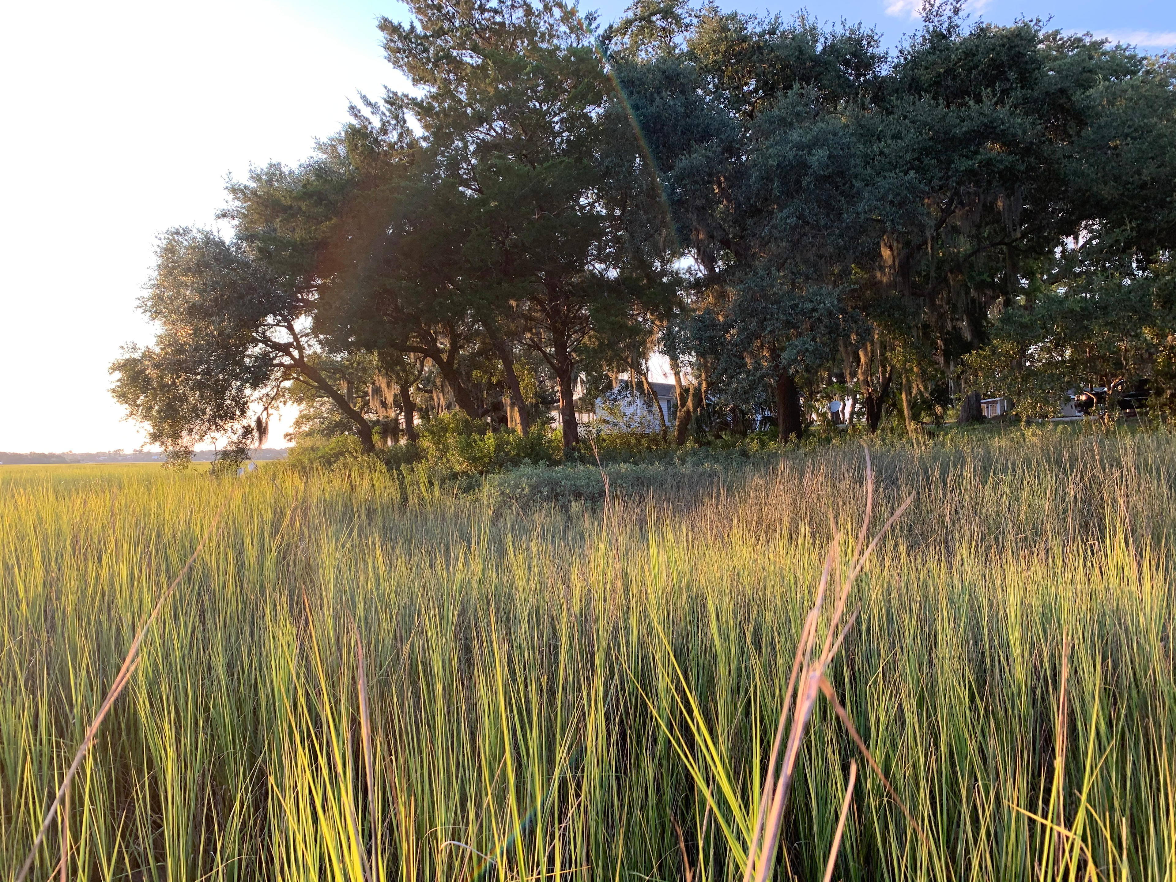 Private Campsite In Beaufort, SC!