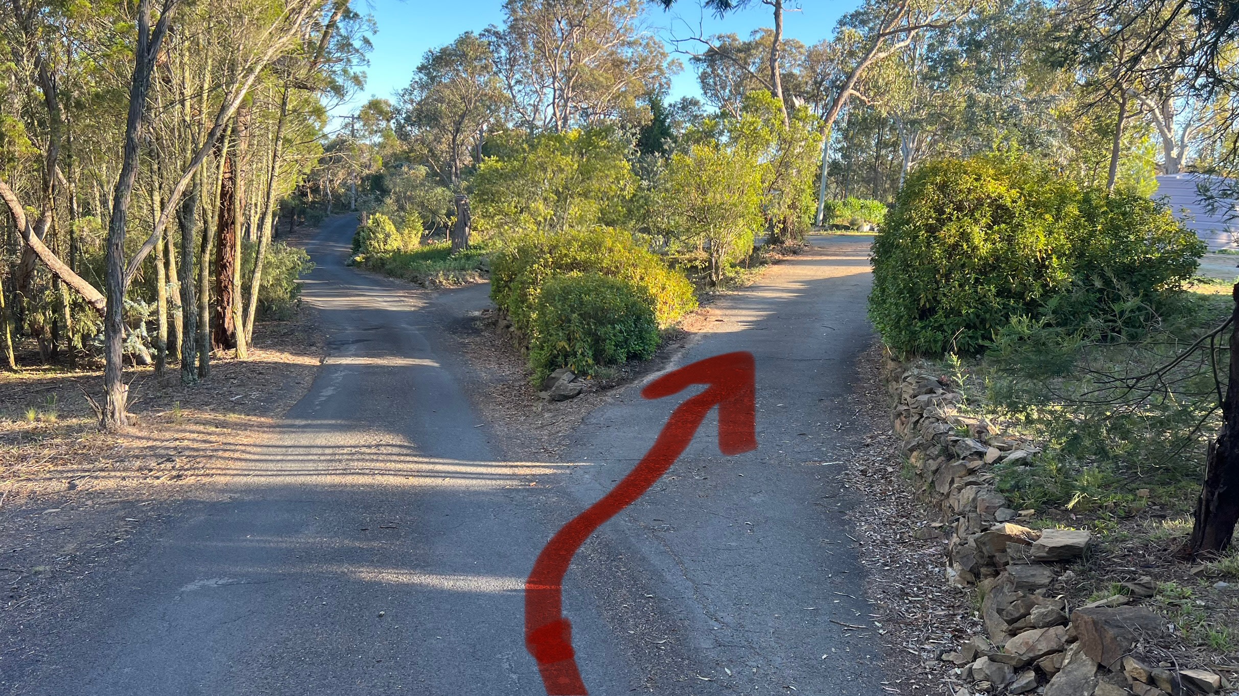 Bush Rest for Canberra Adventure