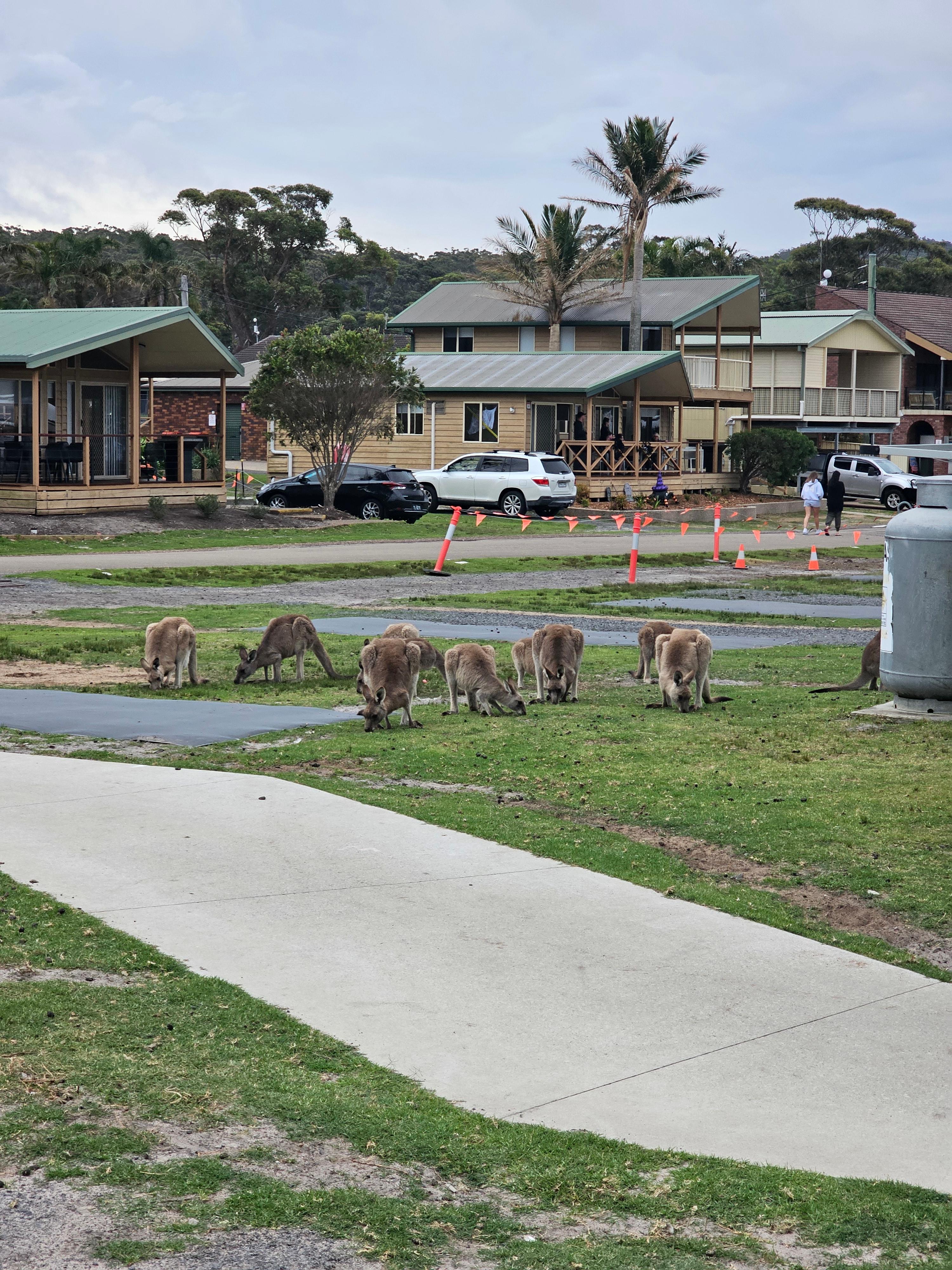 Ingenia Holidays Merry Beach