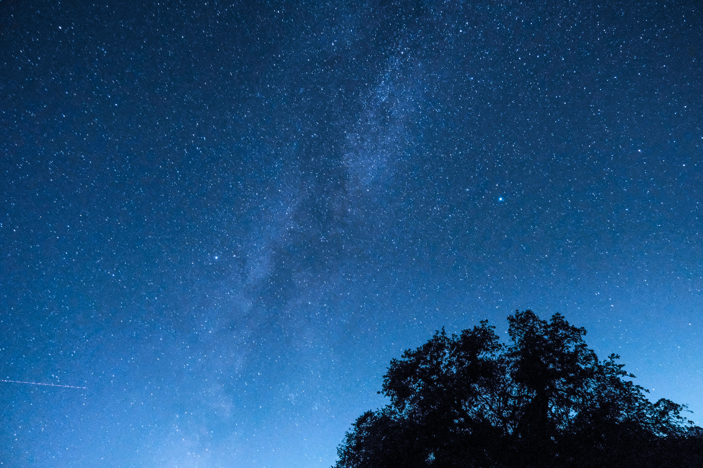 The milky way!