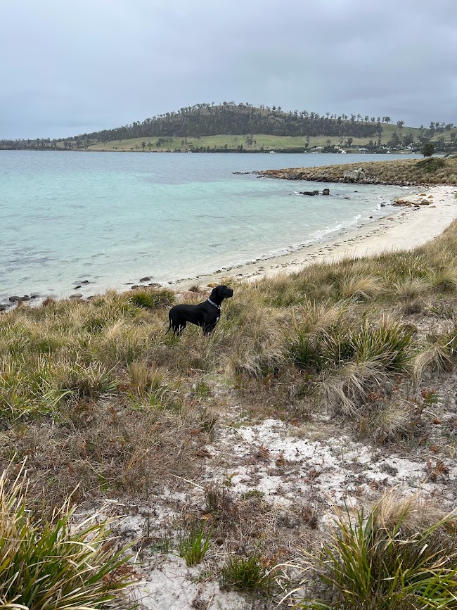 Ocean Front Dorman Point