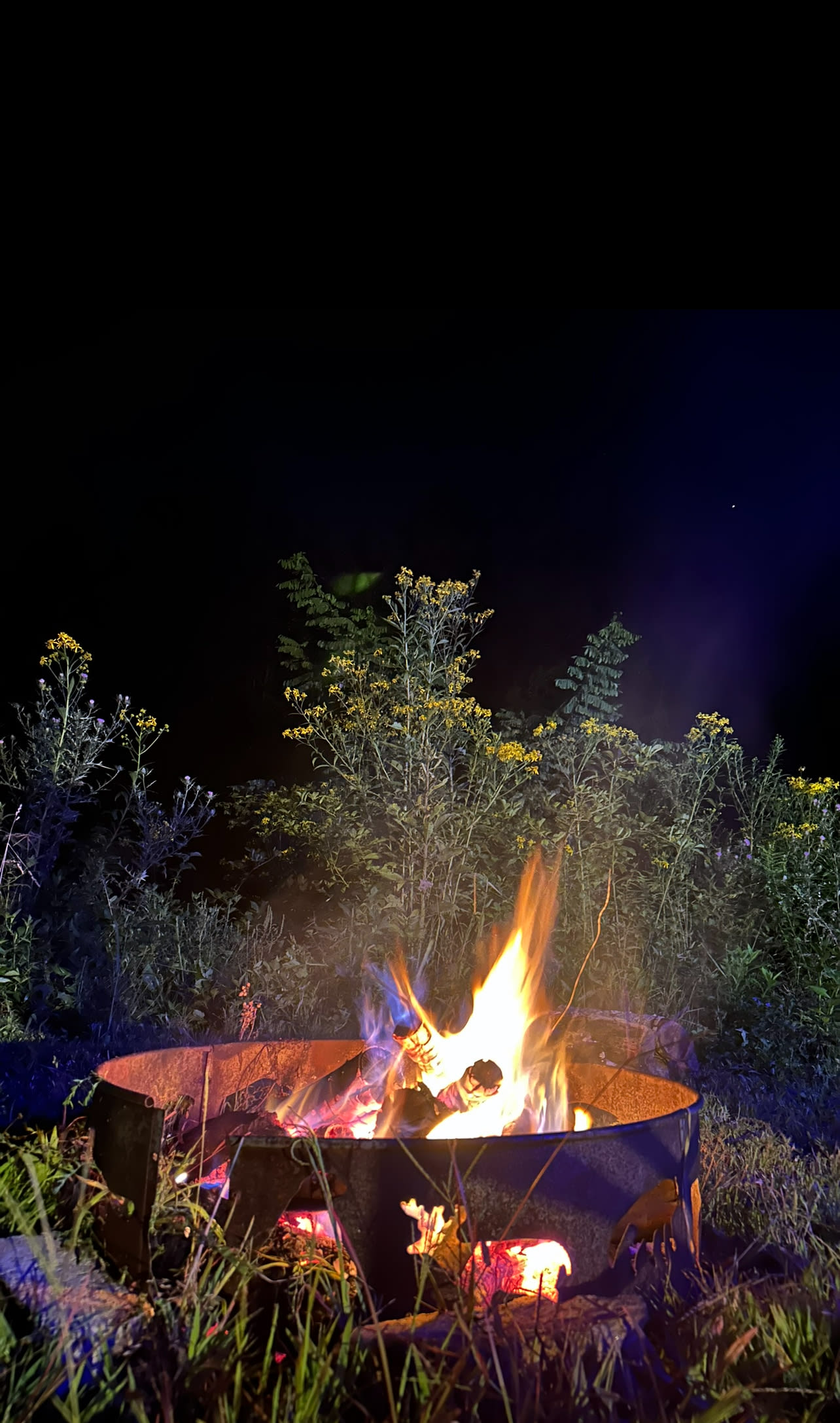 Fish and Fiddle Cabin and RV Sites