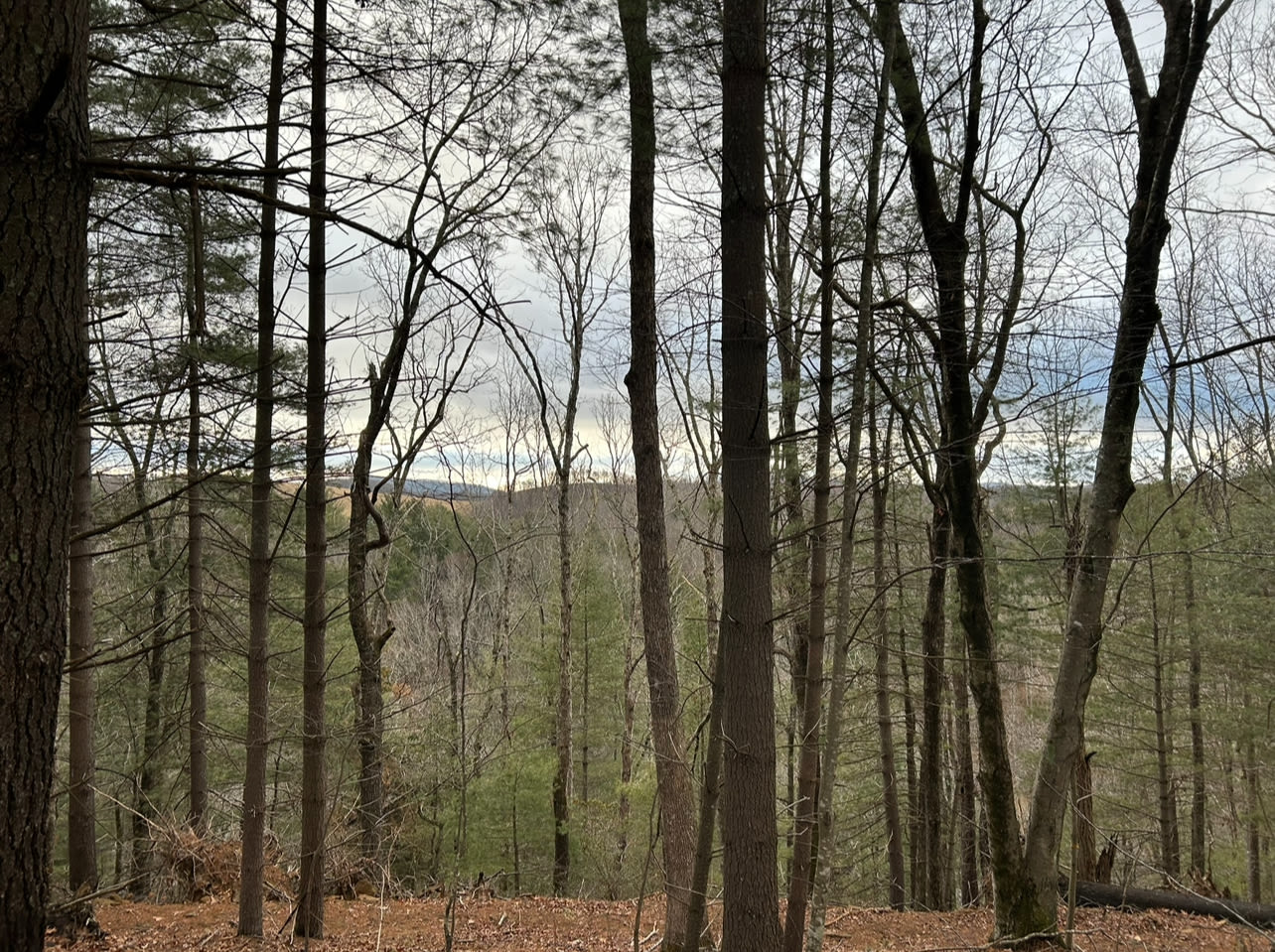 Fish and Fiddle Cabin and RV Sites