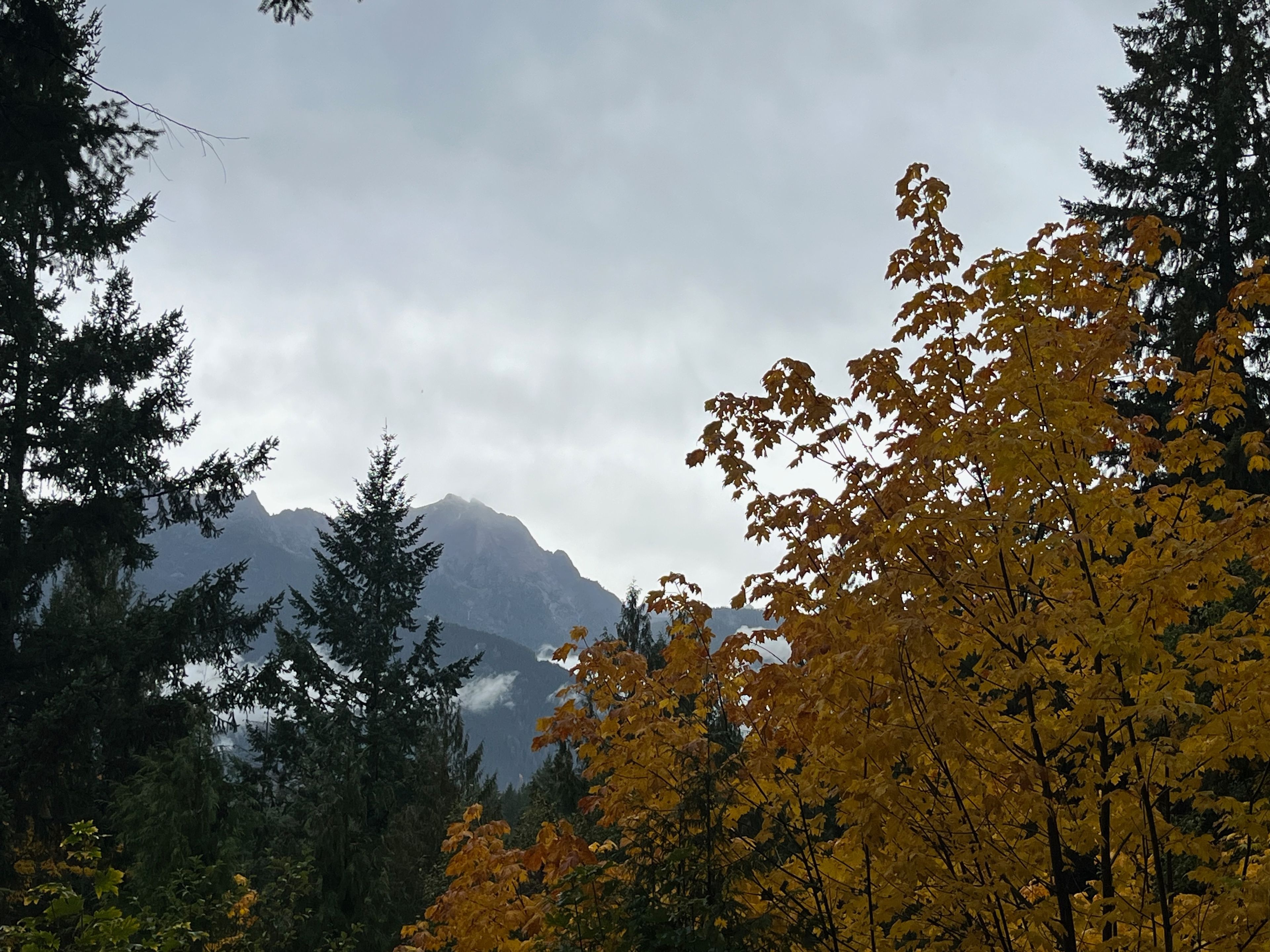 Fall views from Lake Cushman Lookout