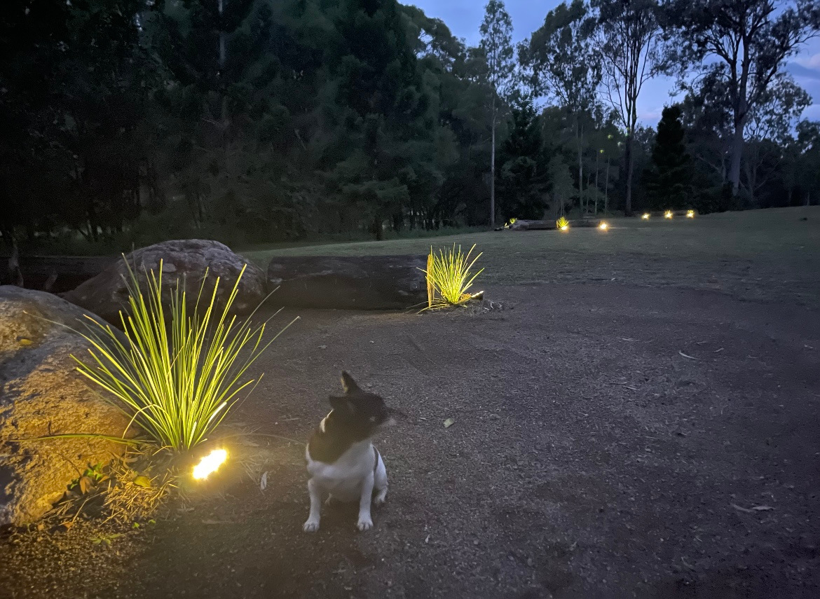 Duck Creek Private Bush Camping