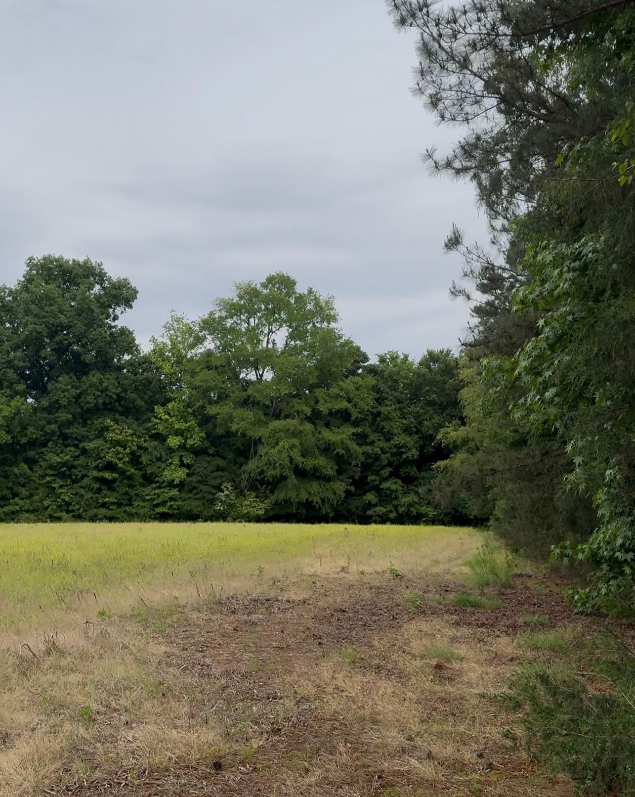Horse Farm near Small Town Charm