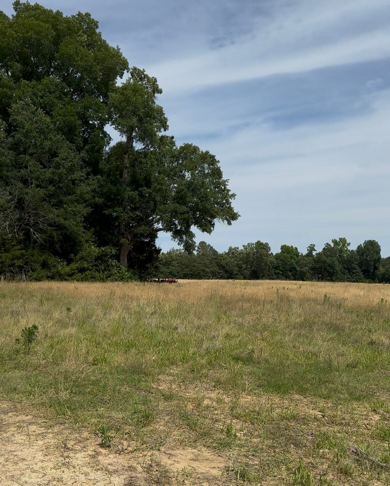 Horse Farm near Small Town Charm