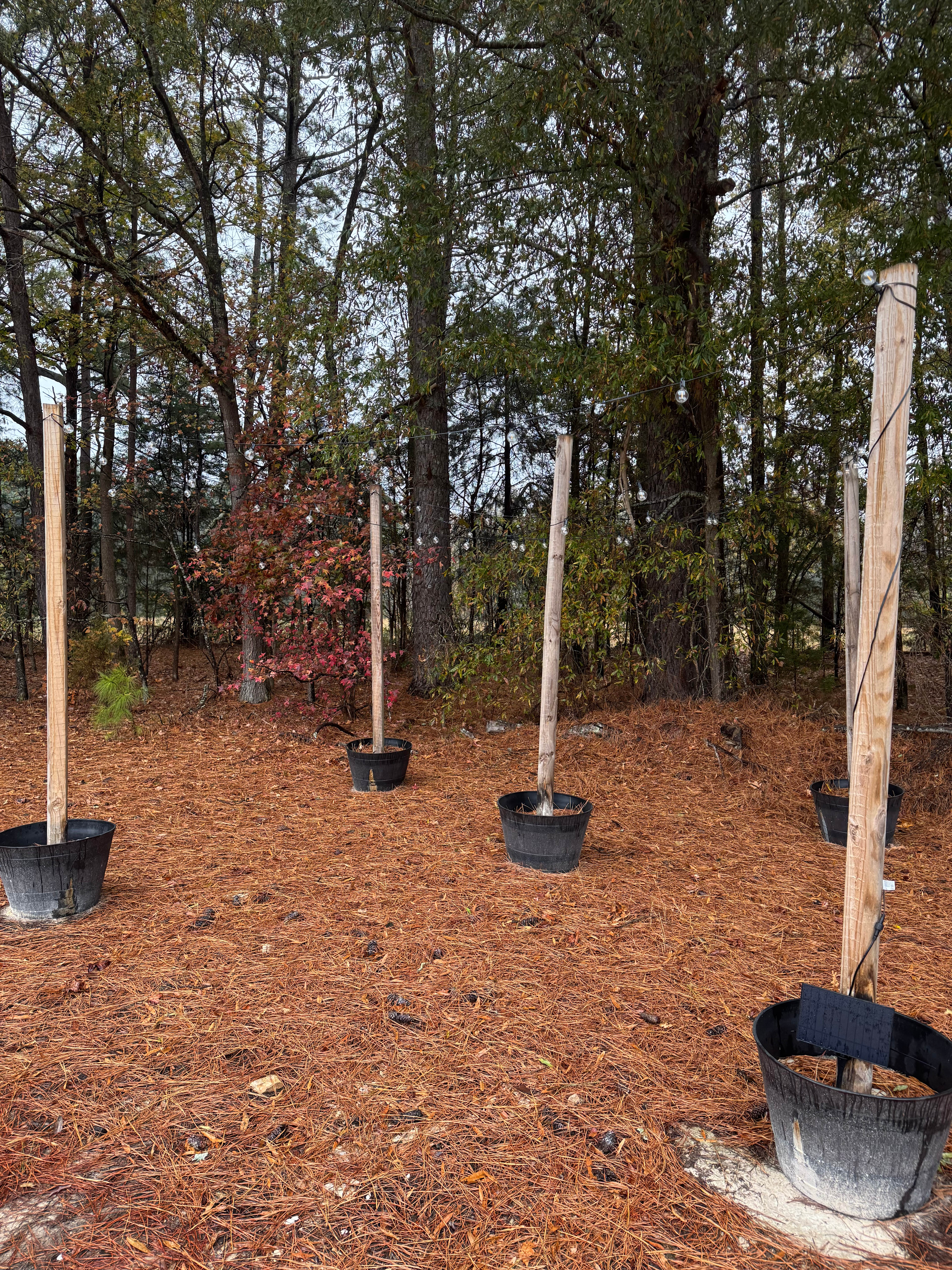 Solar lighted phone zone (chairs not shown)