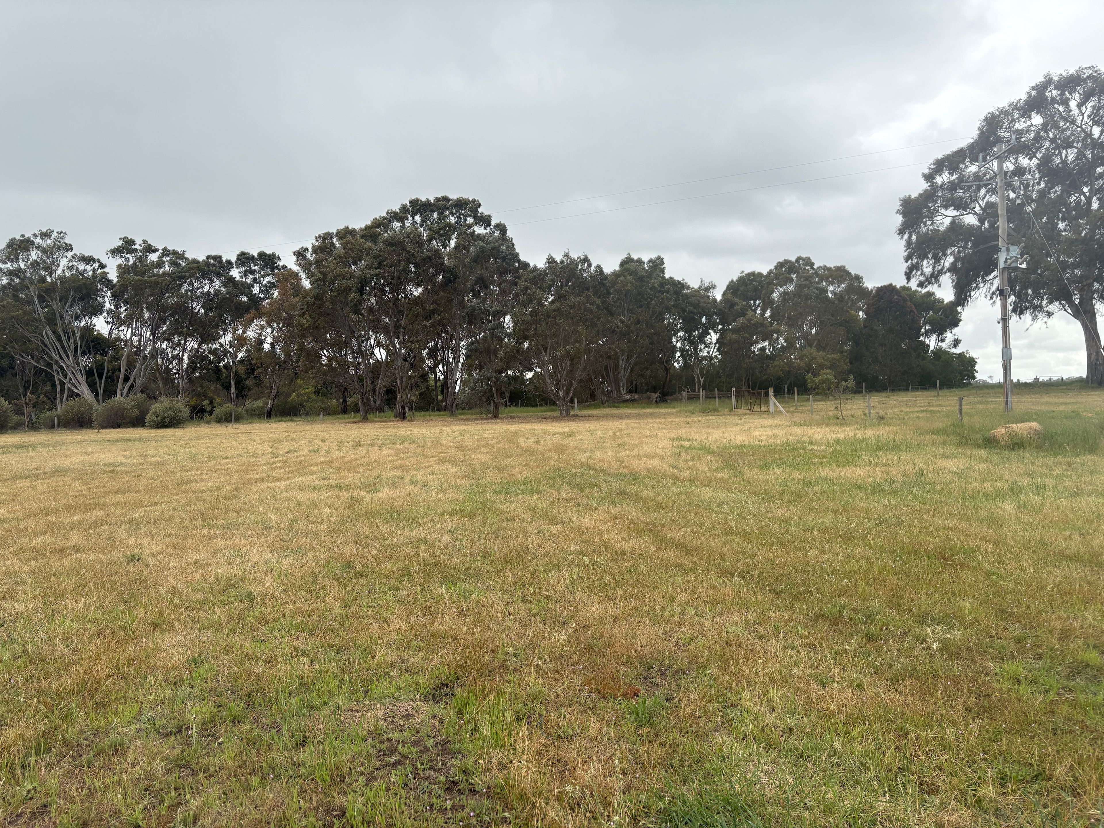 BellMill Farm - Grampians Highlands
