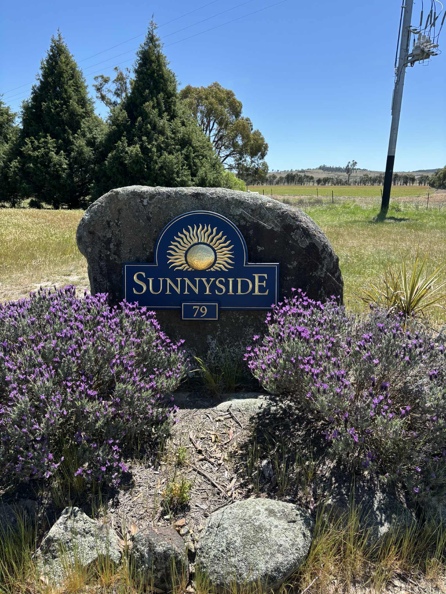 Sunnyside - Banks of Severn River