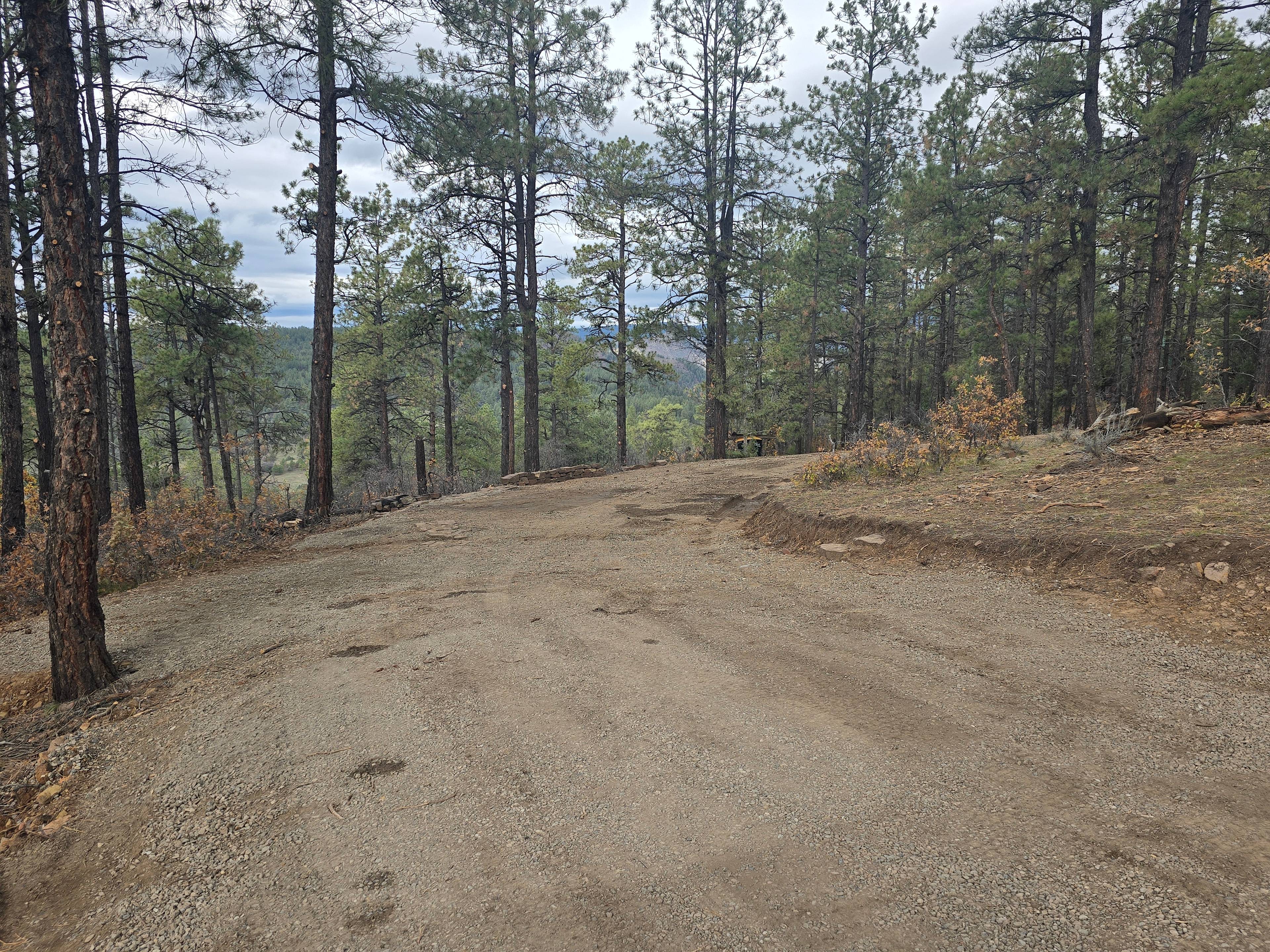 Facing in towards site, upperside of drive.