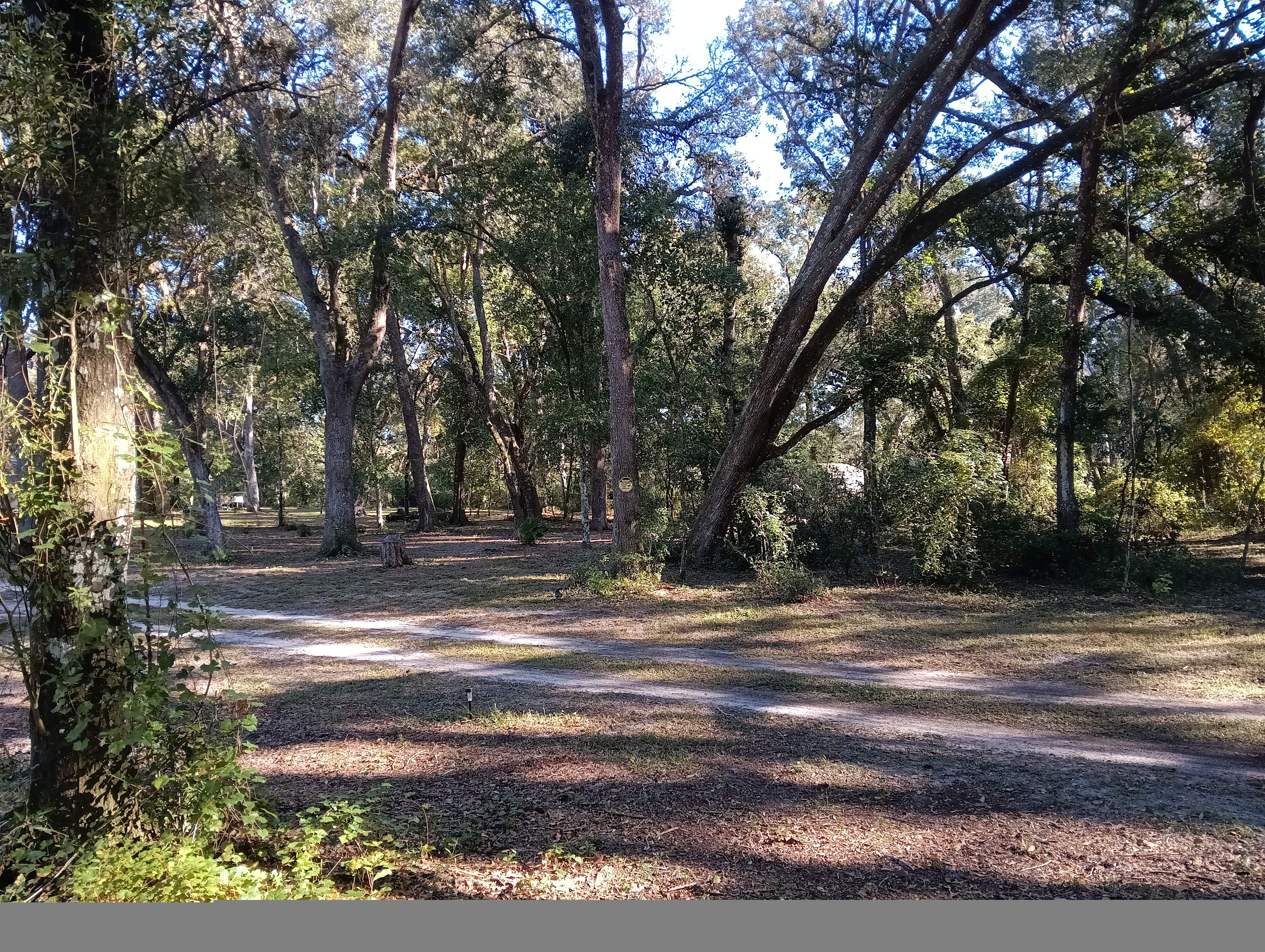 Oasis Under The Oaks