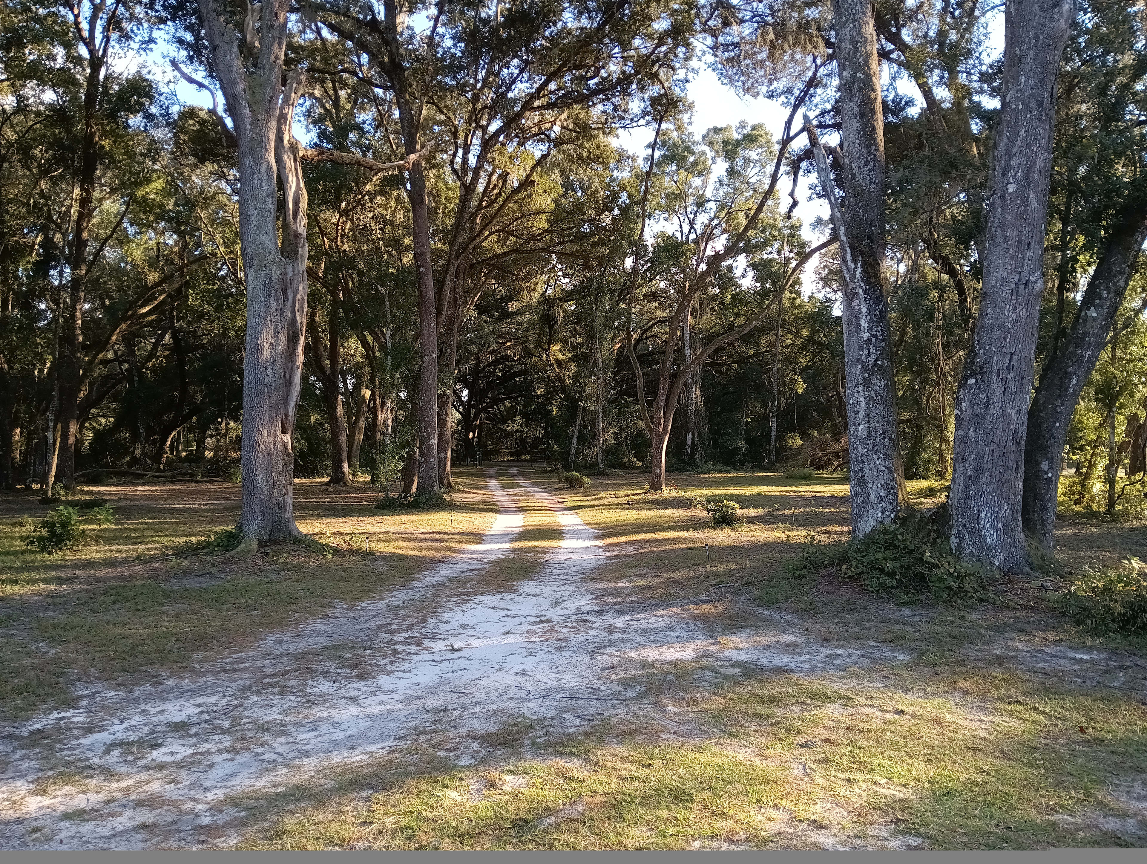 Oasis Under The Oaks